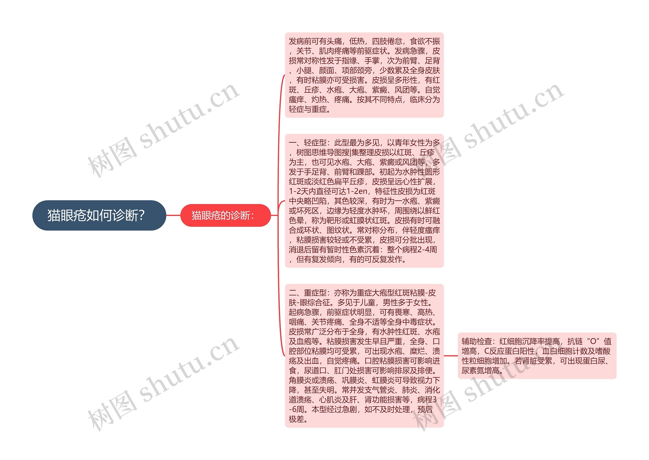 猫眼疮如何诊断？思维导图