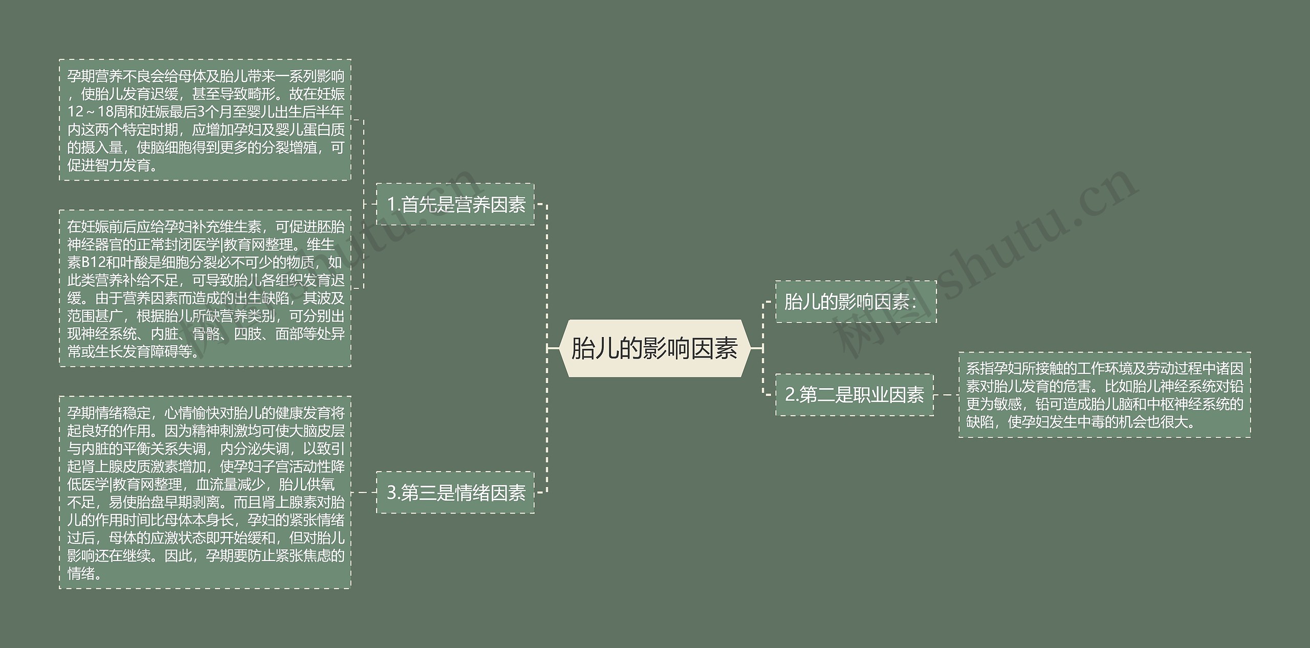 胎儿的影响因素 胎儿的影响因素