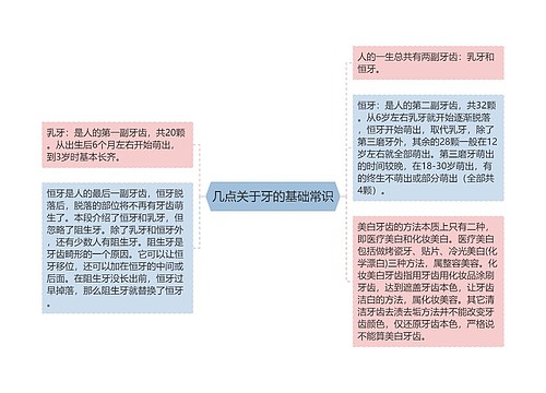 几点关于牙的基础常识