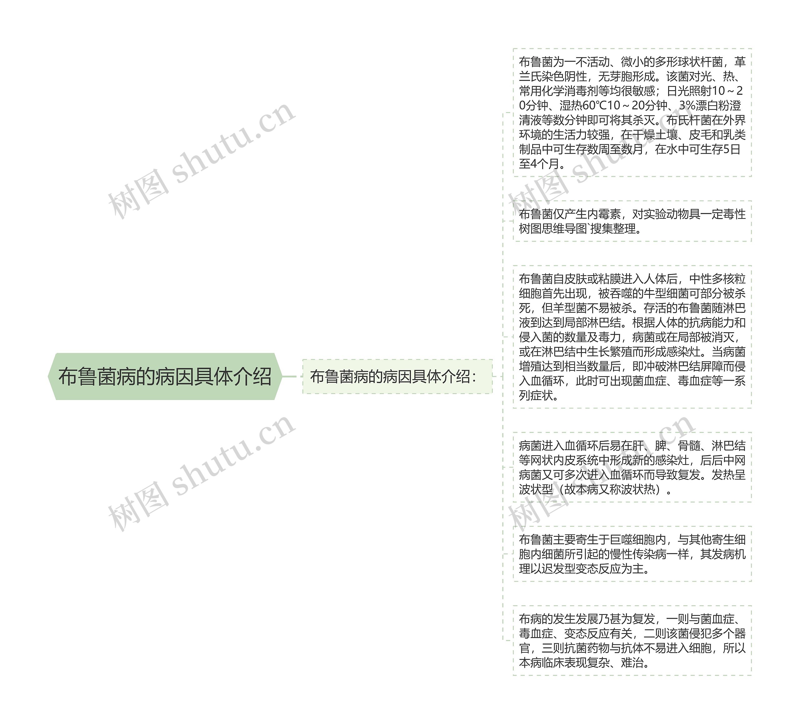 布鲁菌病的病因具体介绍