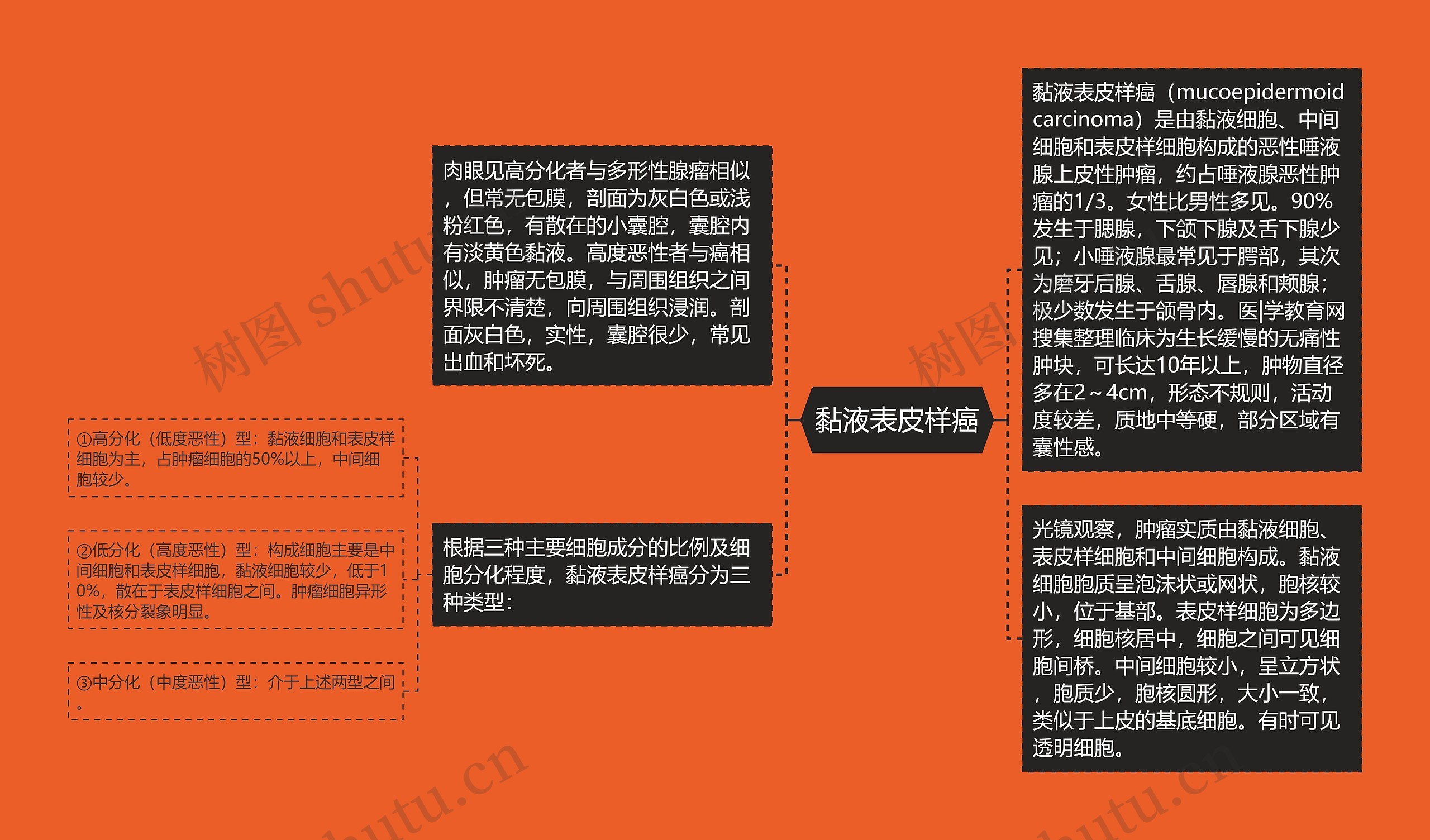 黏液表皮样癌思维导图