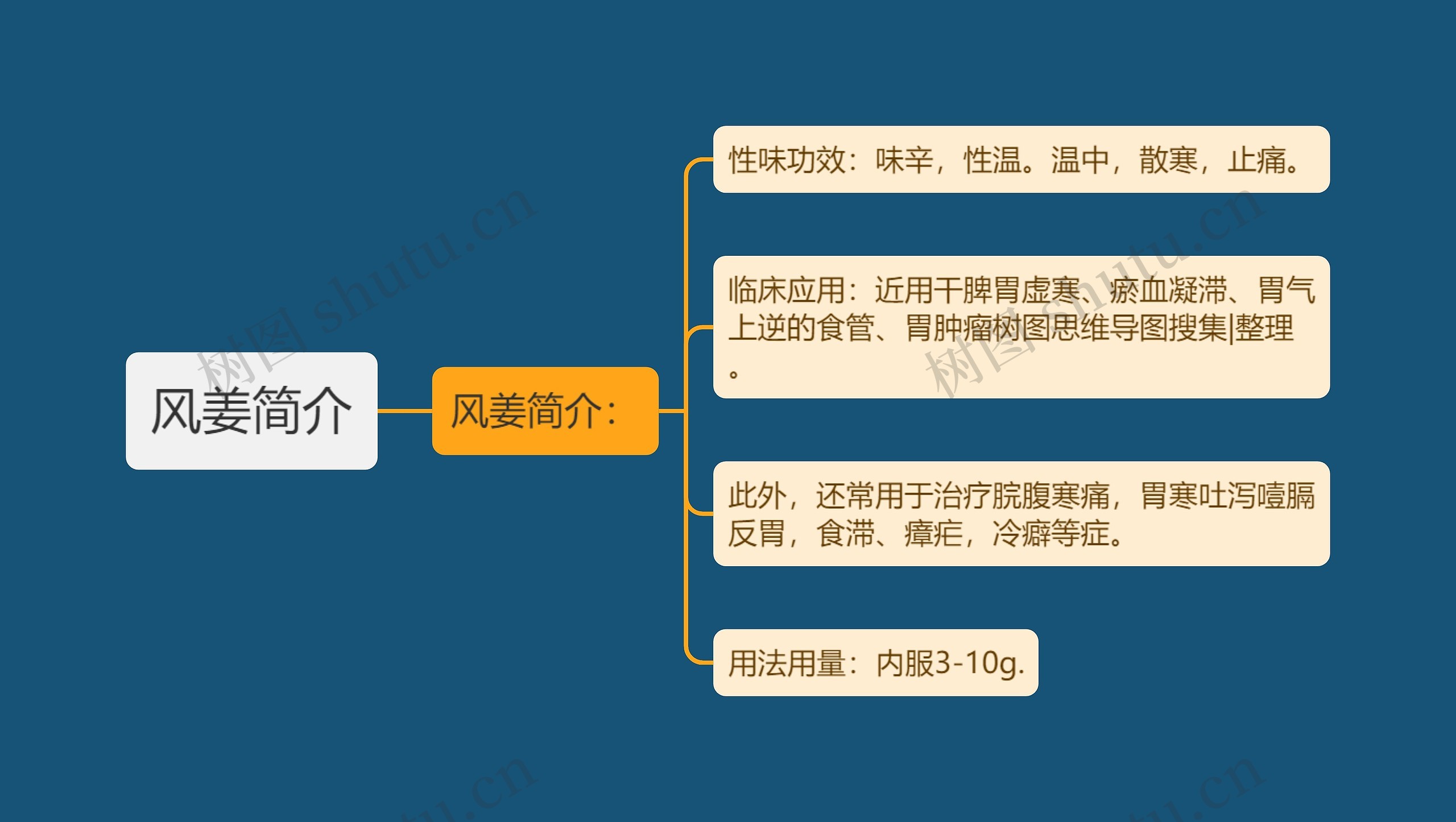 风姜简介思维导图