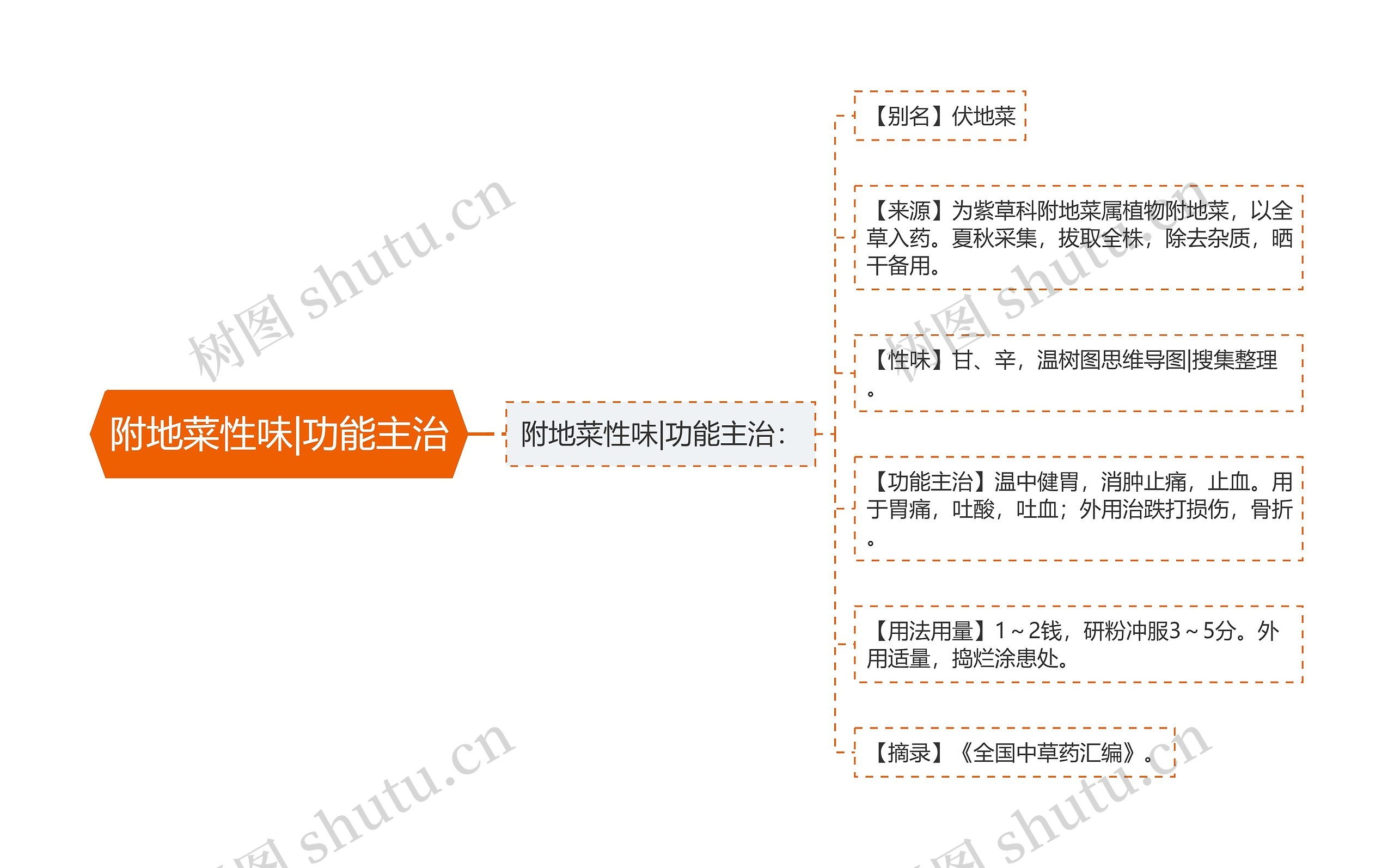 附地菜性味|功能主治思维导图