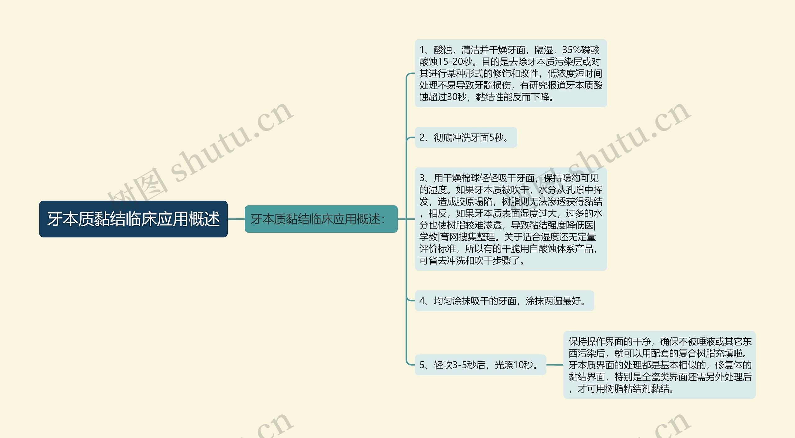 牙本质黏结临床应用概述