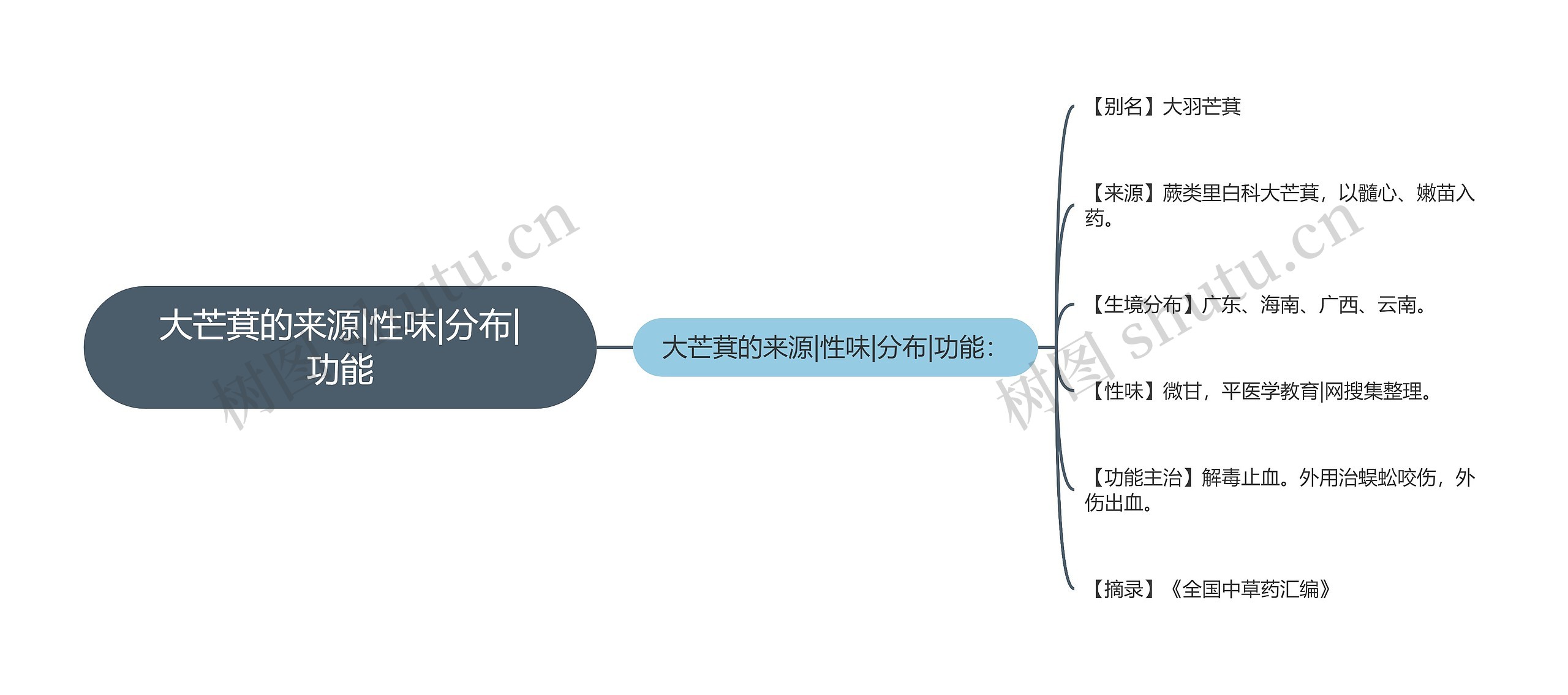 大芒萁的来源|性味|分布|功能