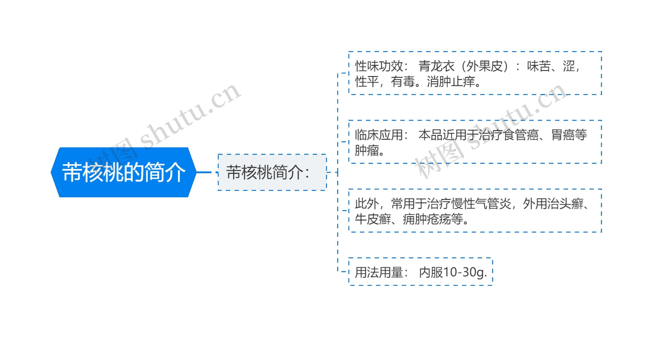 芾核桃的简介