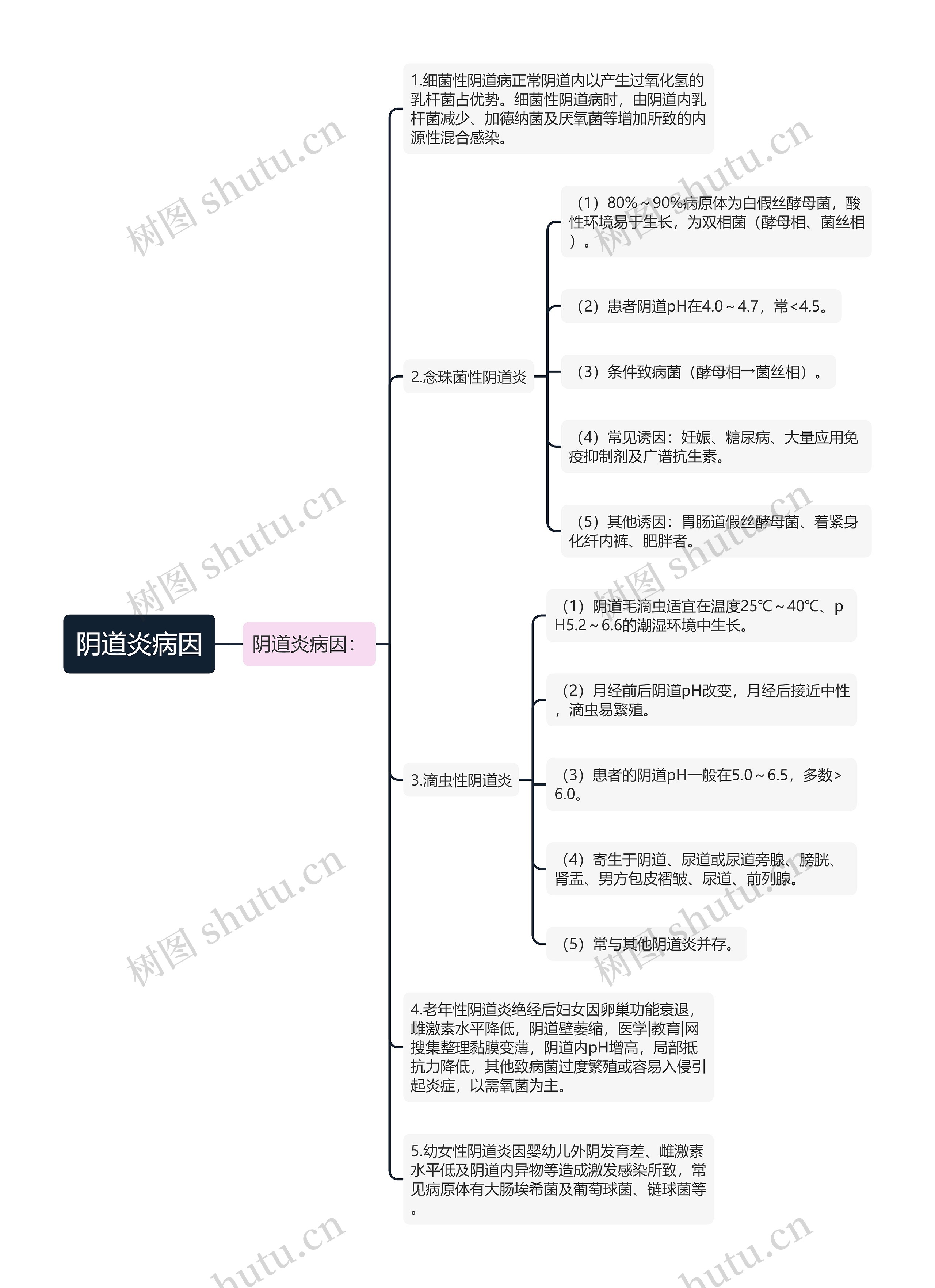 阴道炎病因思维导图