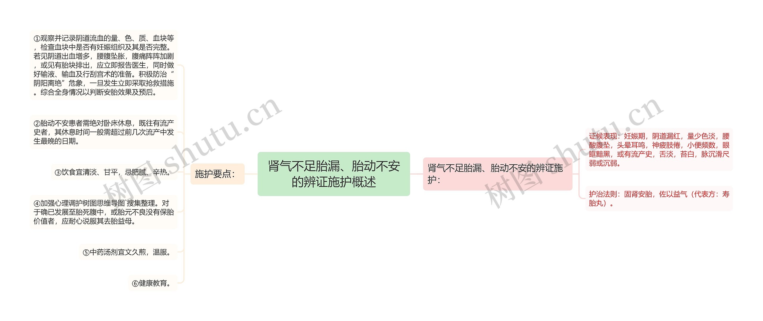 肾气不足胎漏、胎动不安的辨证施护概述思维导图