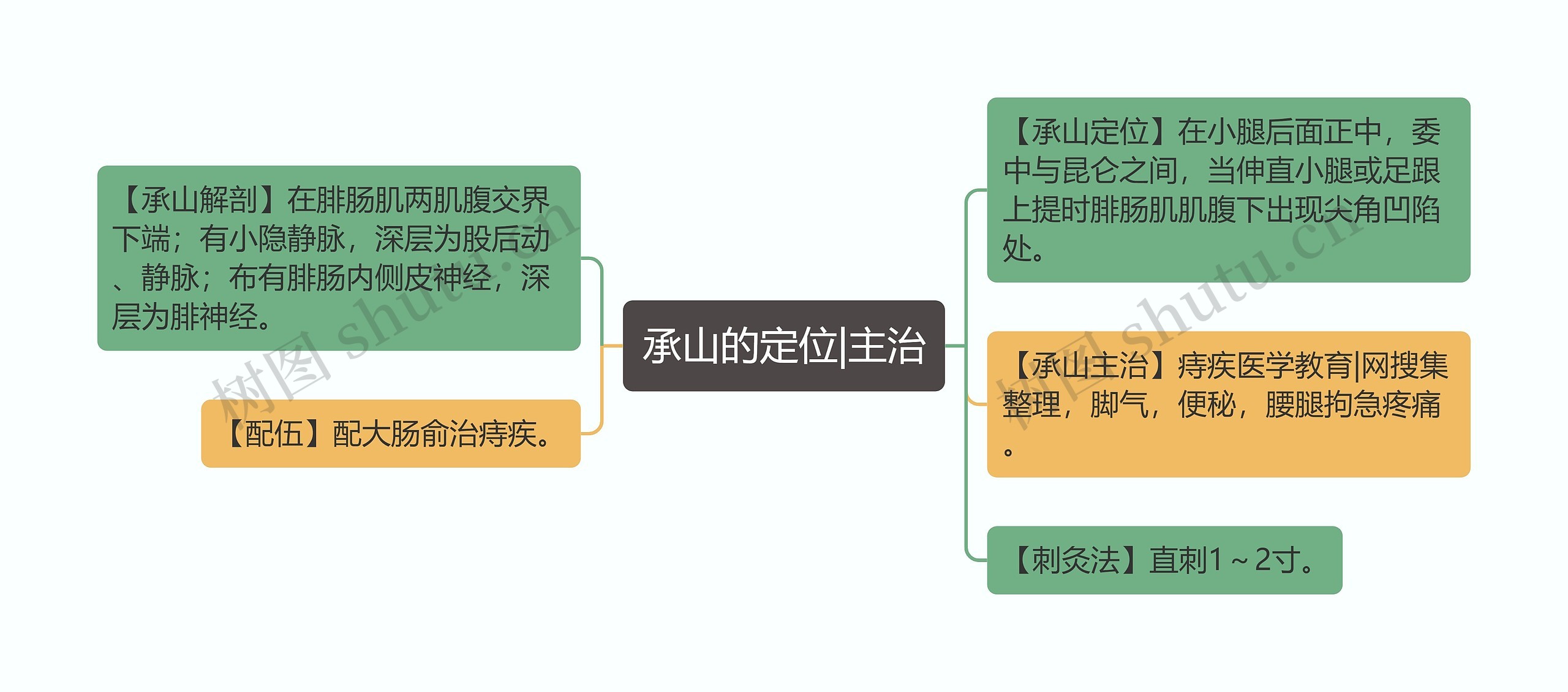 承山的定位|主治思维导图