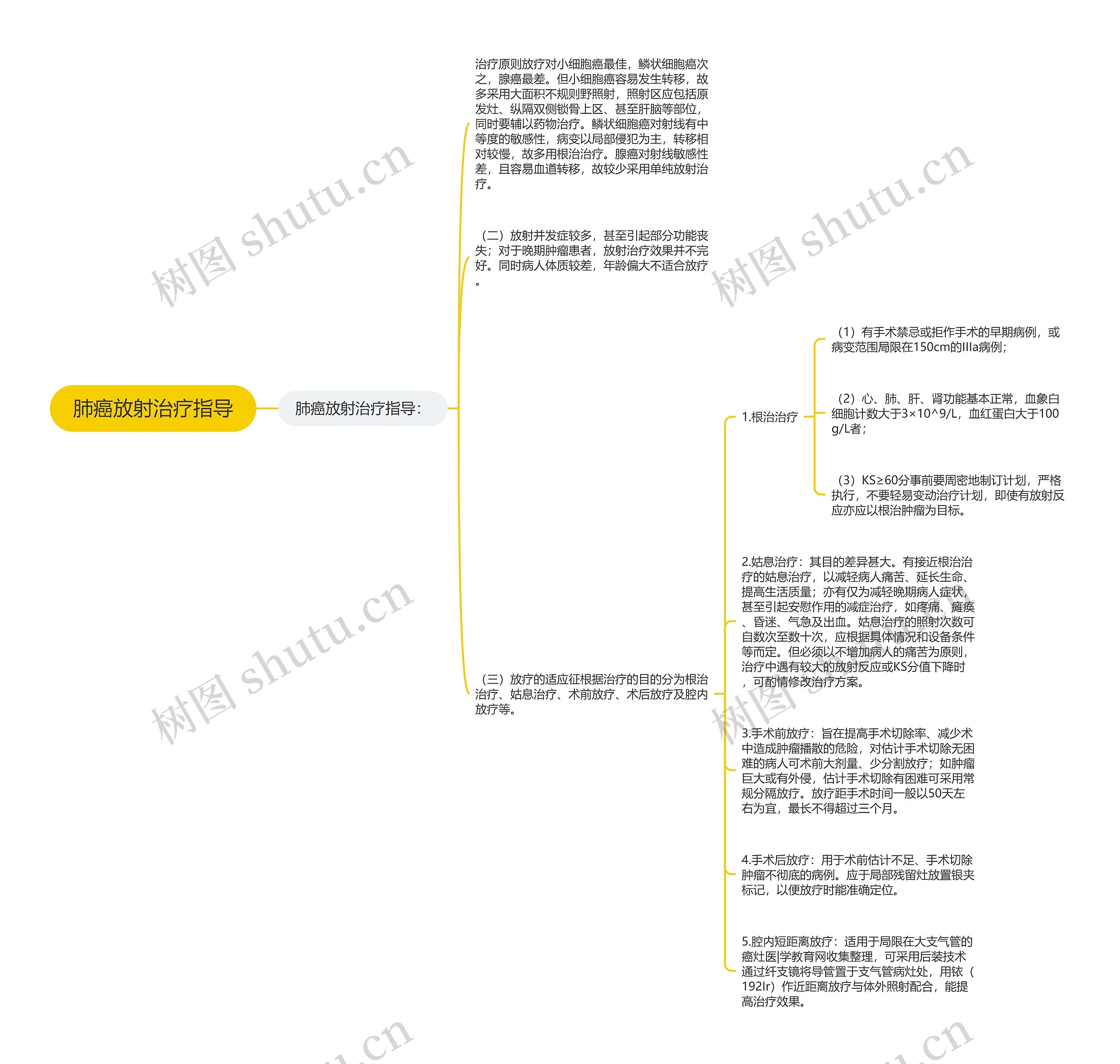 肺癌放射治疗指导 肺癌放射治疗指导
