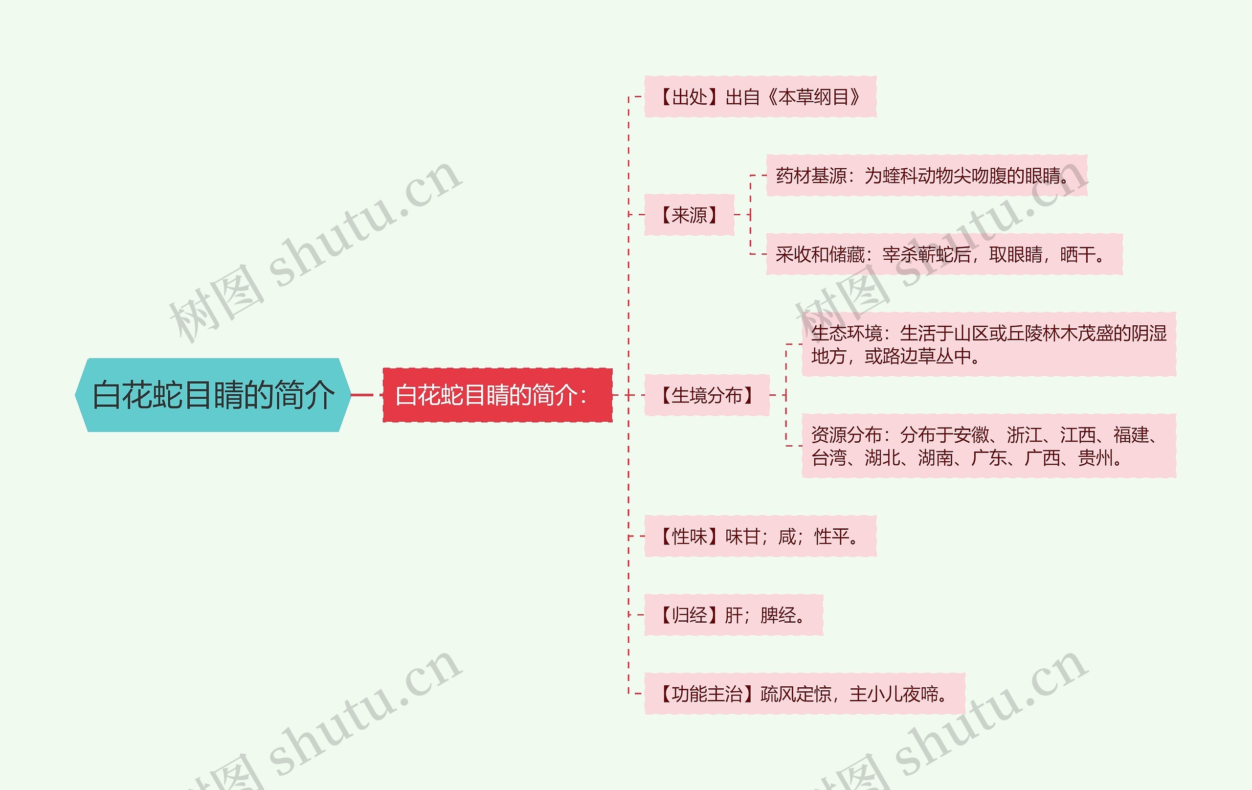 白花蛇目睛的简介 白花蛇目睛的简介