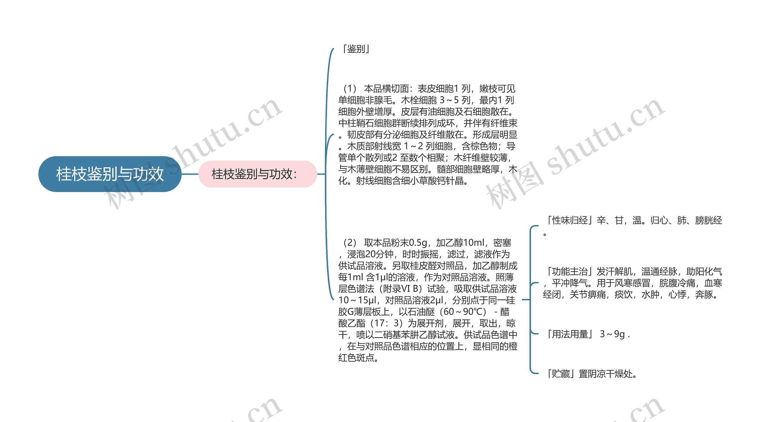 桂枝鉴别与功效思维导图