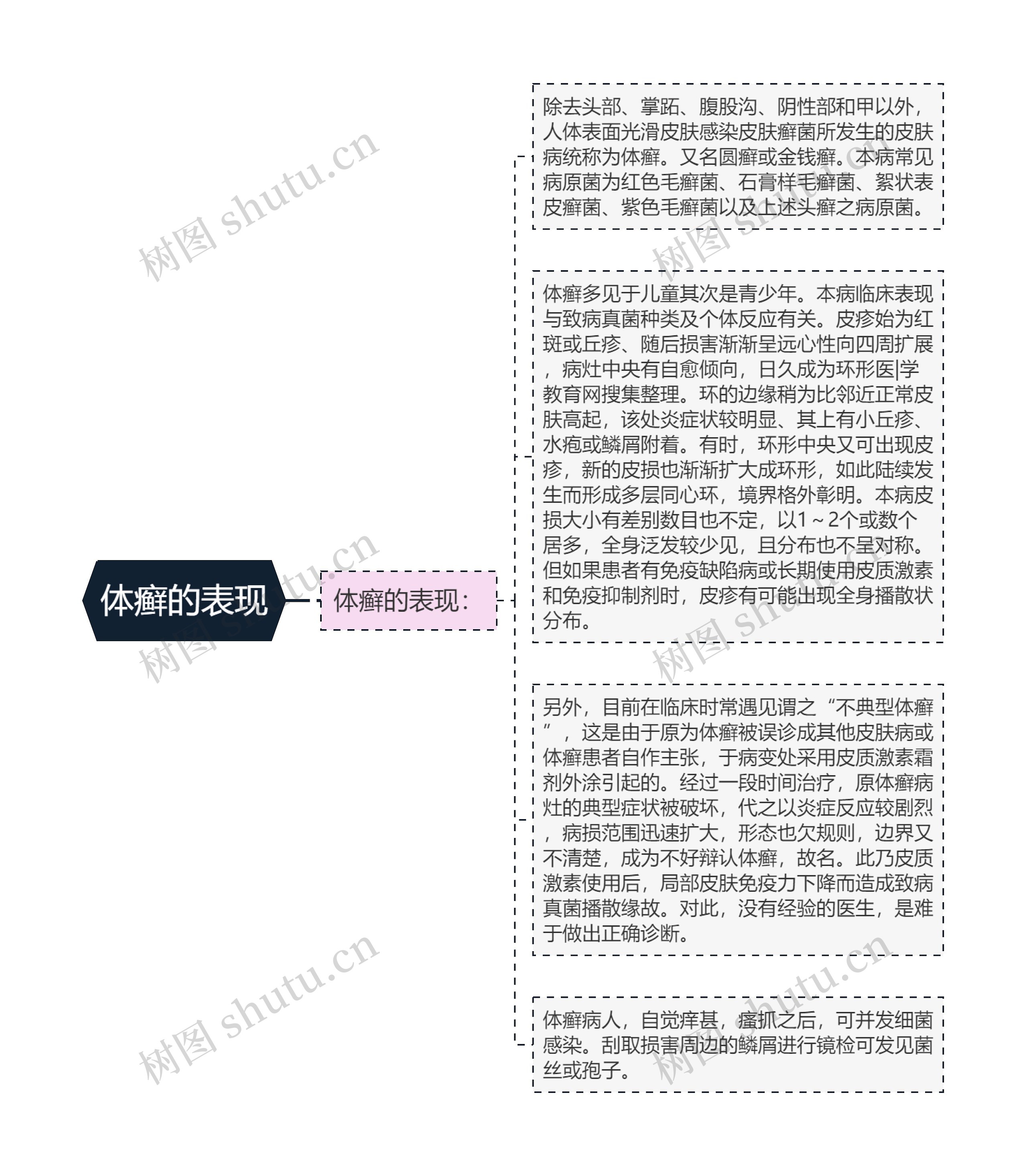 体癣的表现思维导图