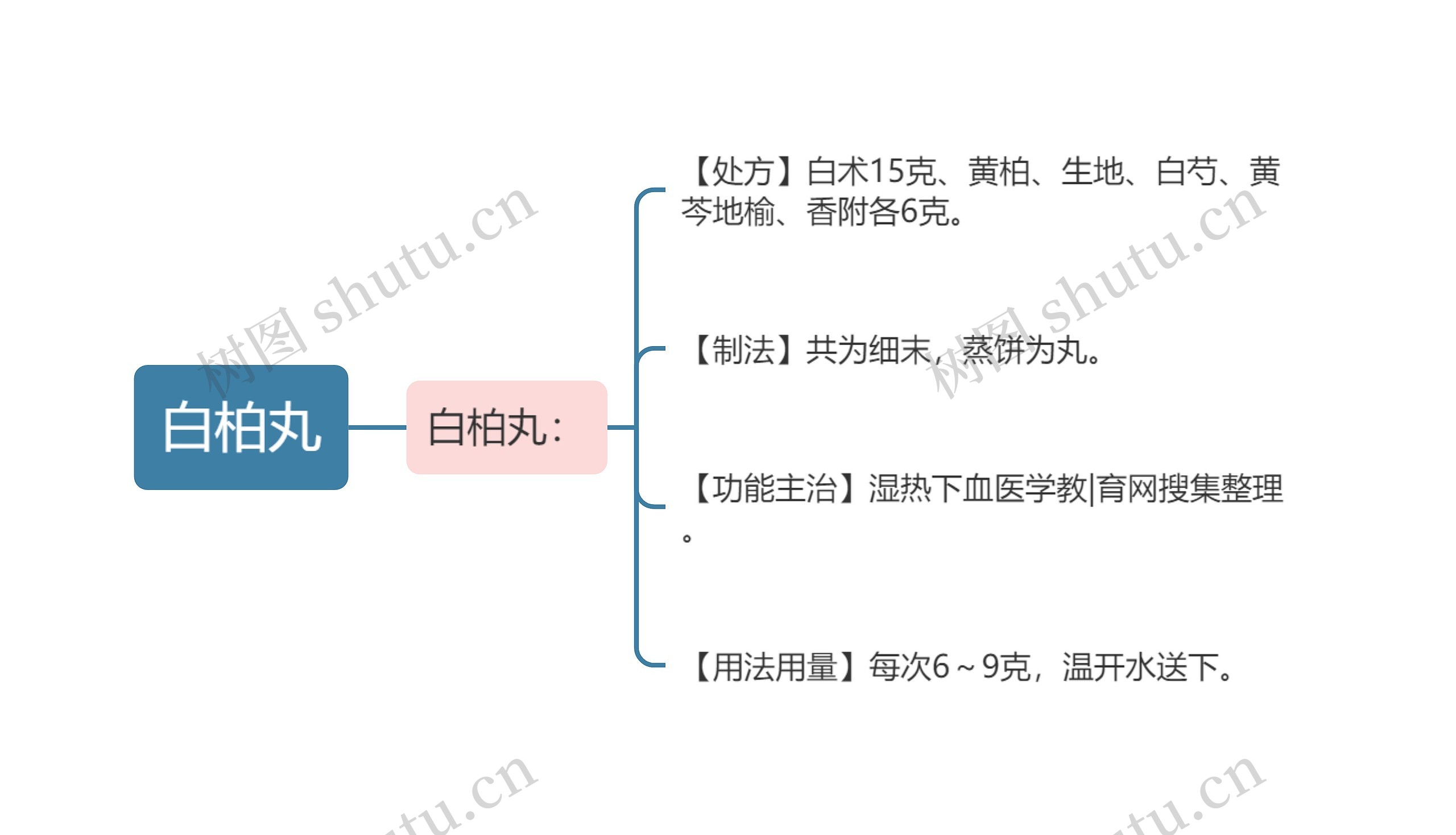 白柏丸思维导图