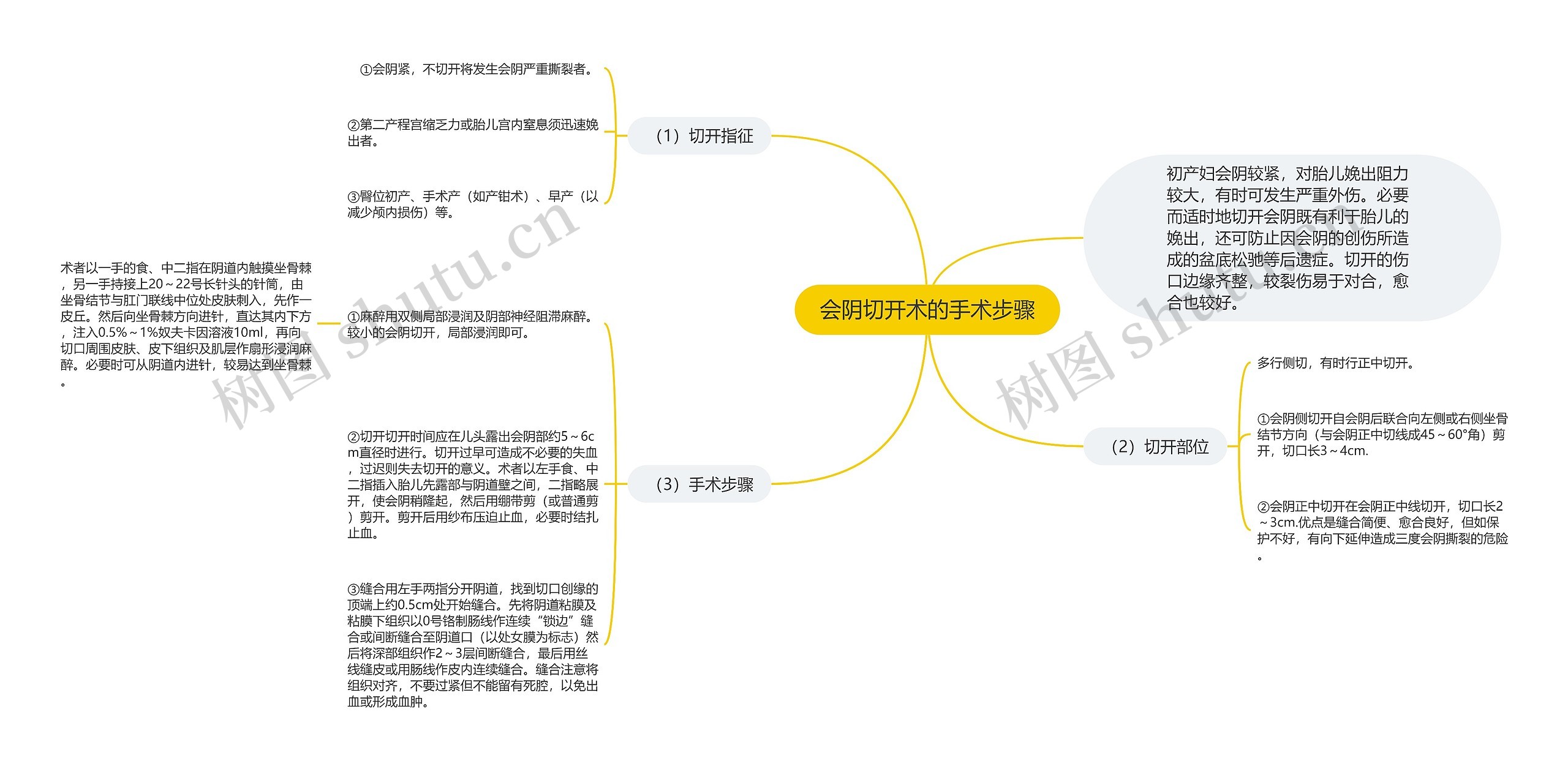 会阴切开术的手术步骤