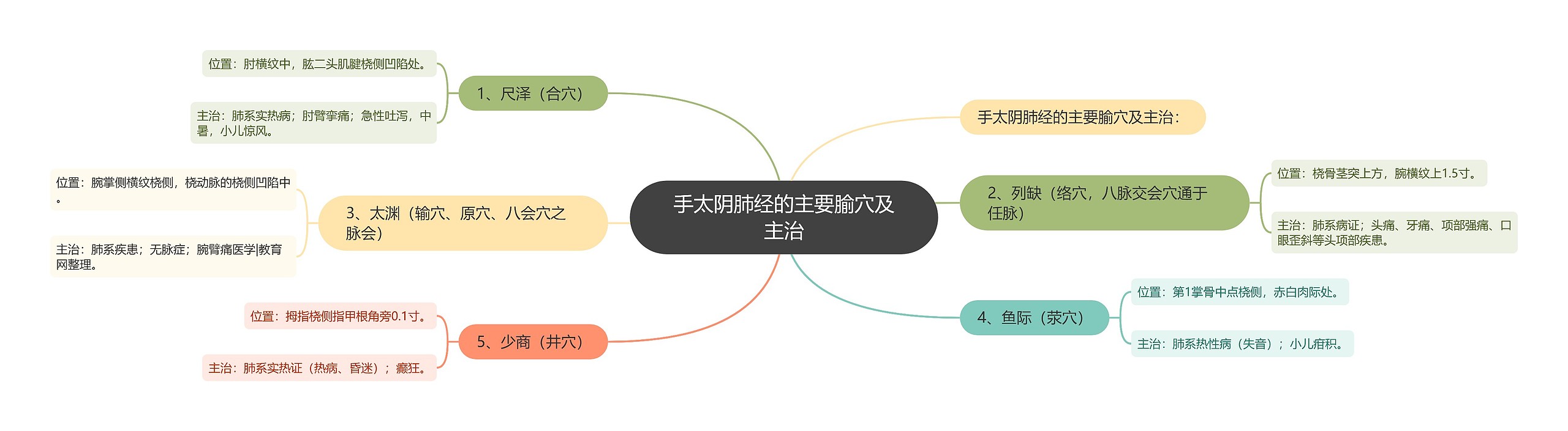 手太阴肺经的主要腧穴及主治思维导图