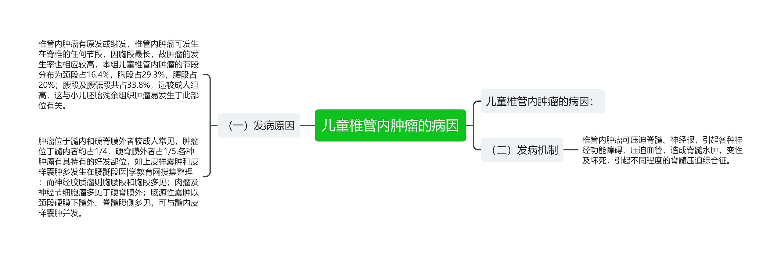 儿童椎管内肿瘤的病因思维导图