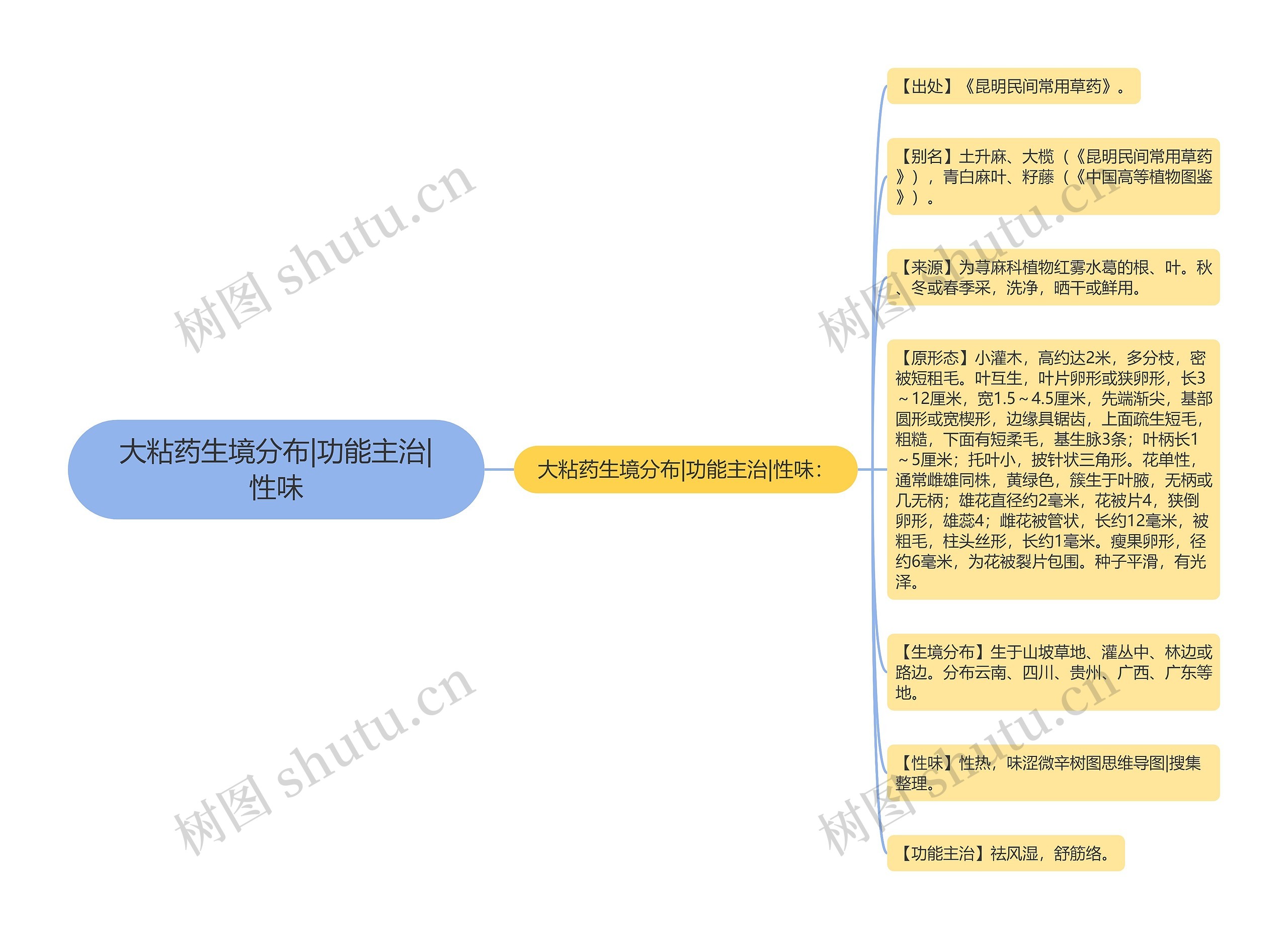 大粘药生境分布|功能主治|性味 大粘药生境分布|功能主治|性味