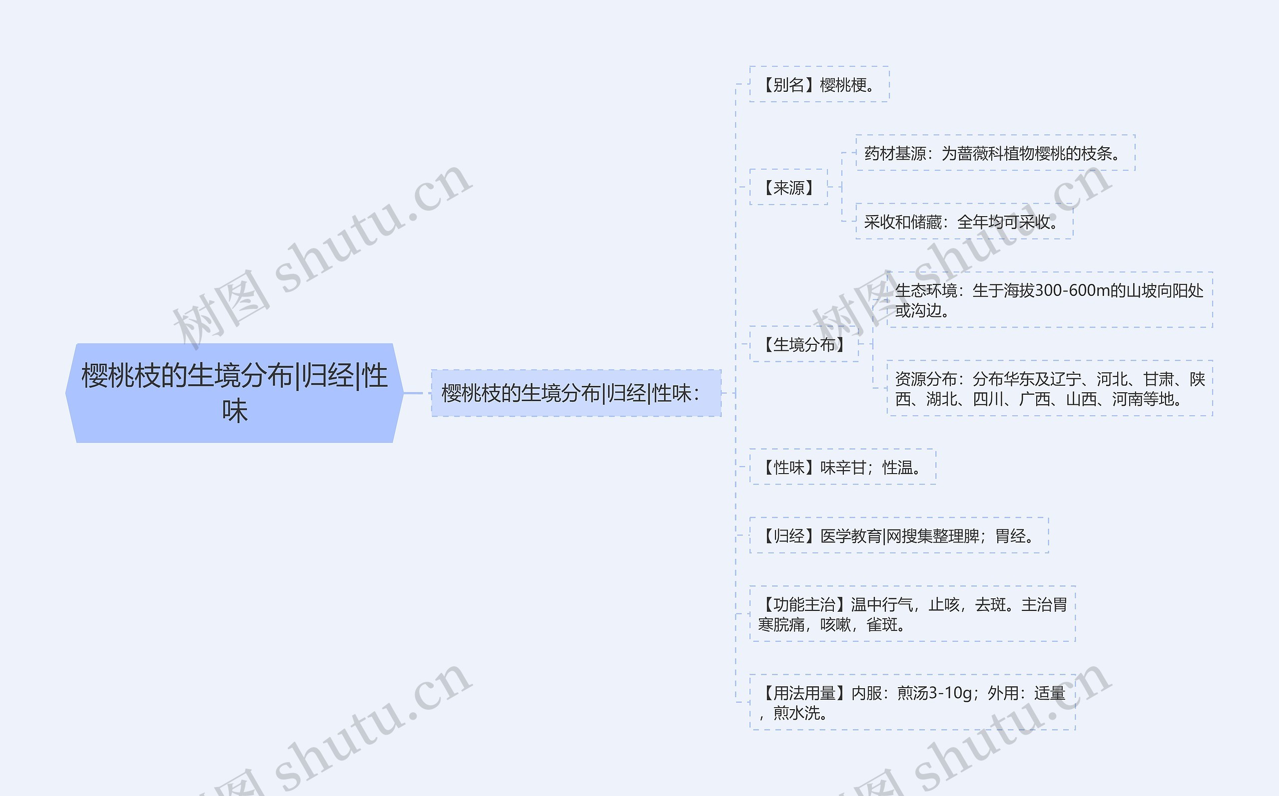 樱桃枝的生境分布|归经|性味思维导图