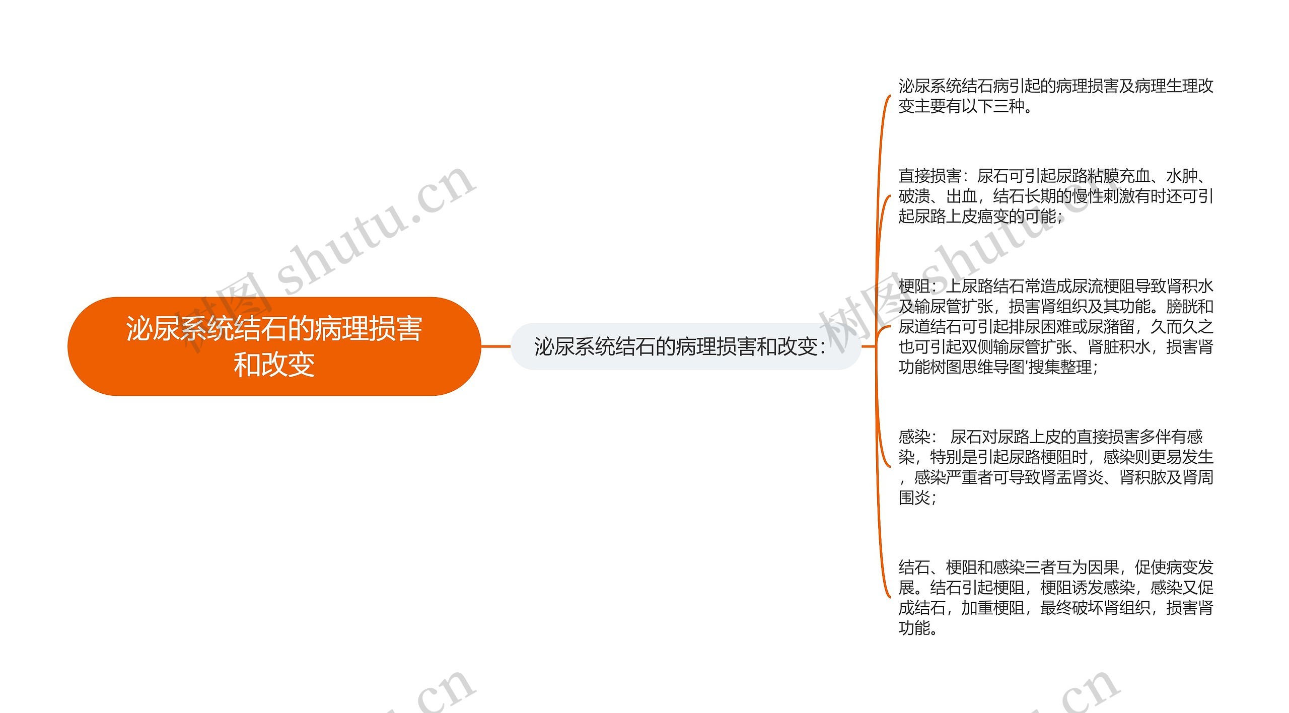 泌尿系统结石的病理损害和改变思维导图