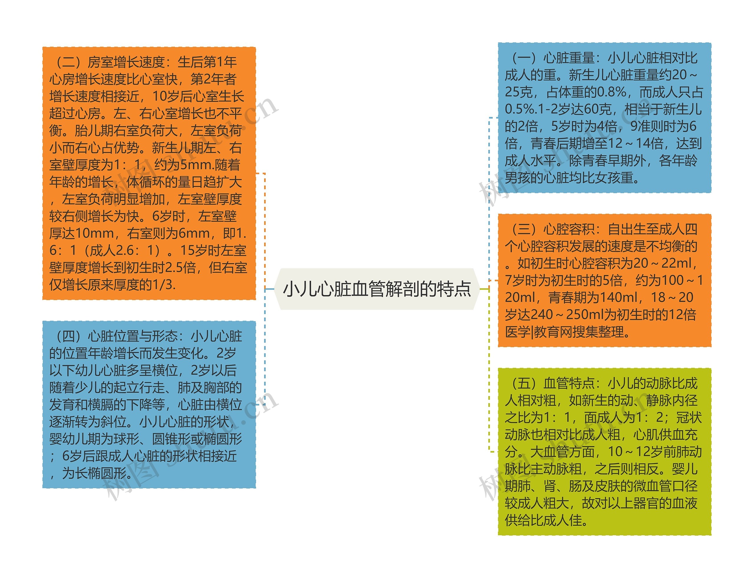 小儿心脏血管解剖的特点思维导图