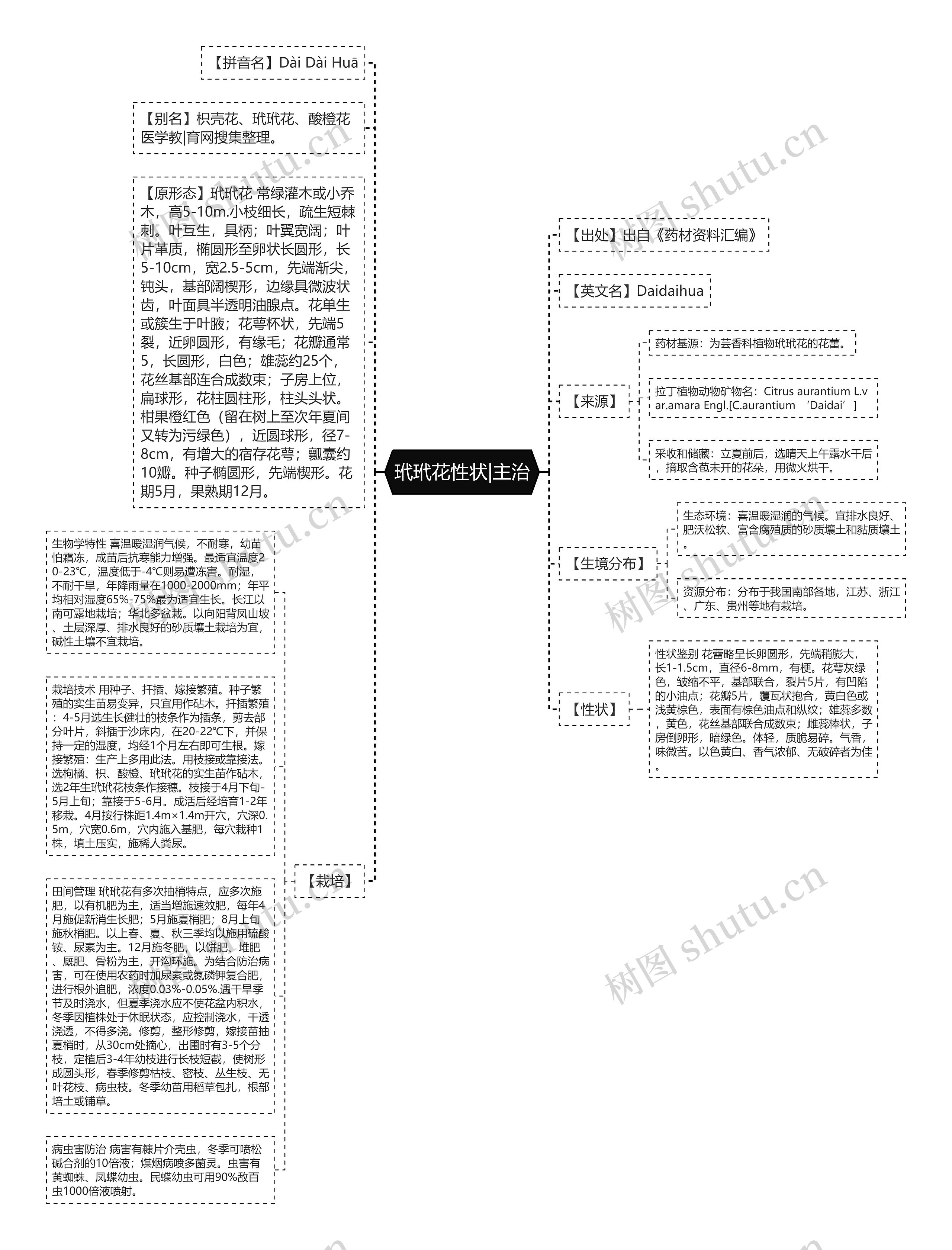 玳玳花性状|主治思维导图