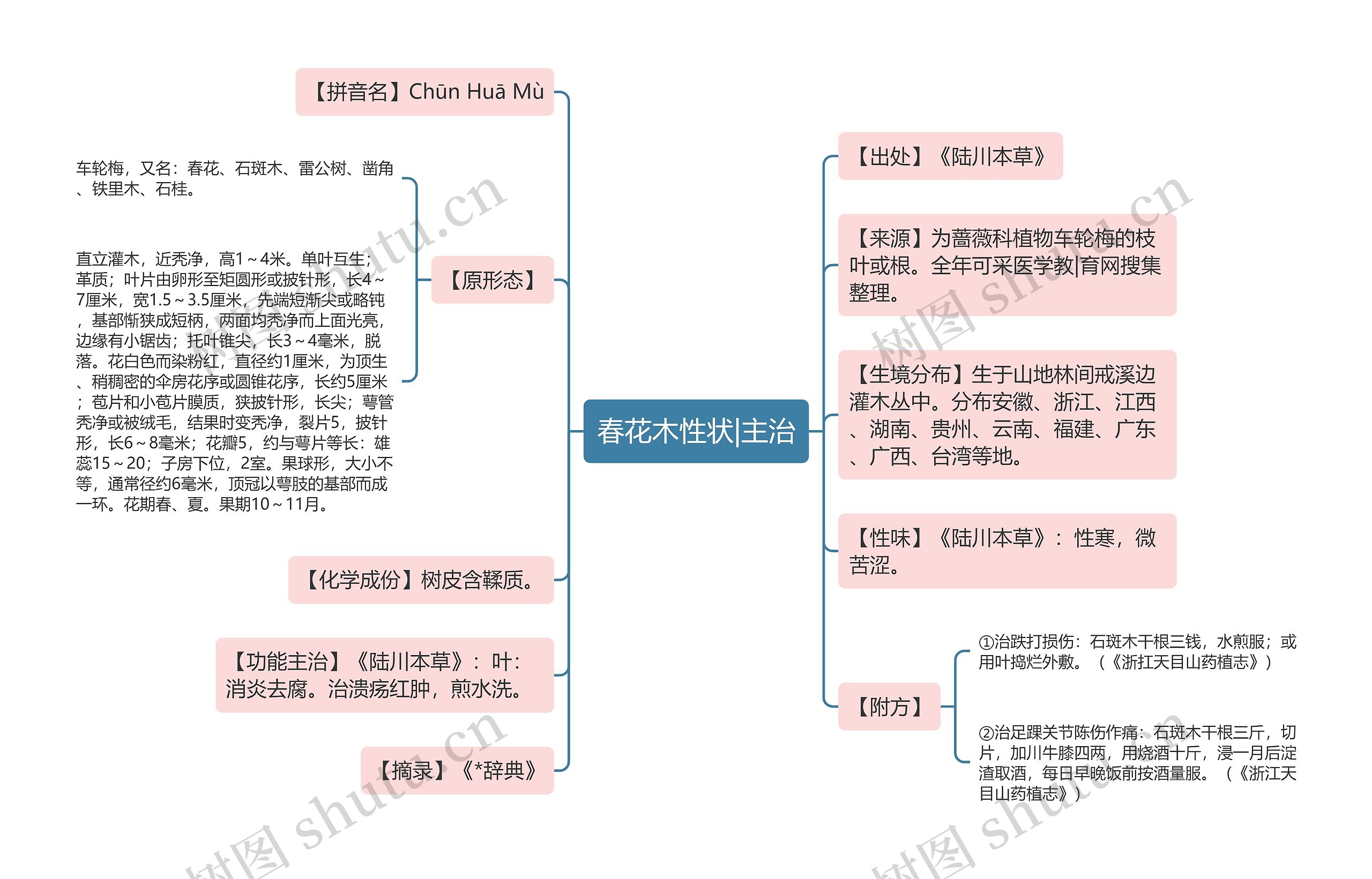 春花木性状|主治思维导图