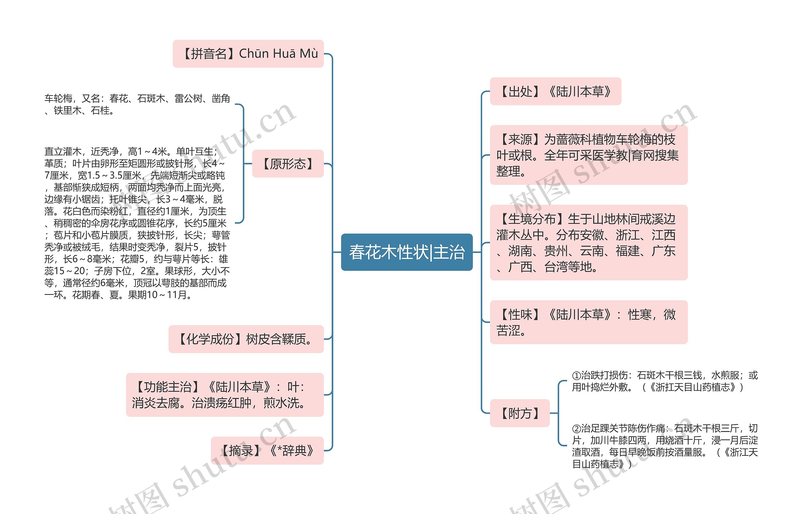 春花木性状|主治 春花木性状|主治
