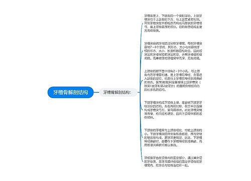 牙槽骨解剖结构