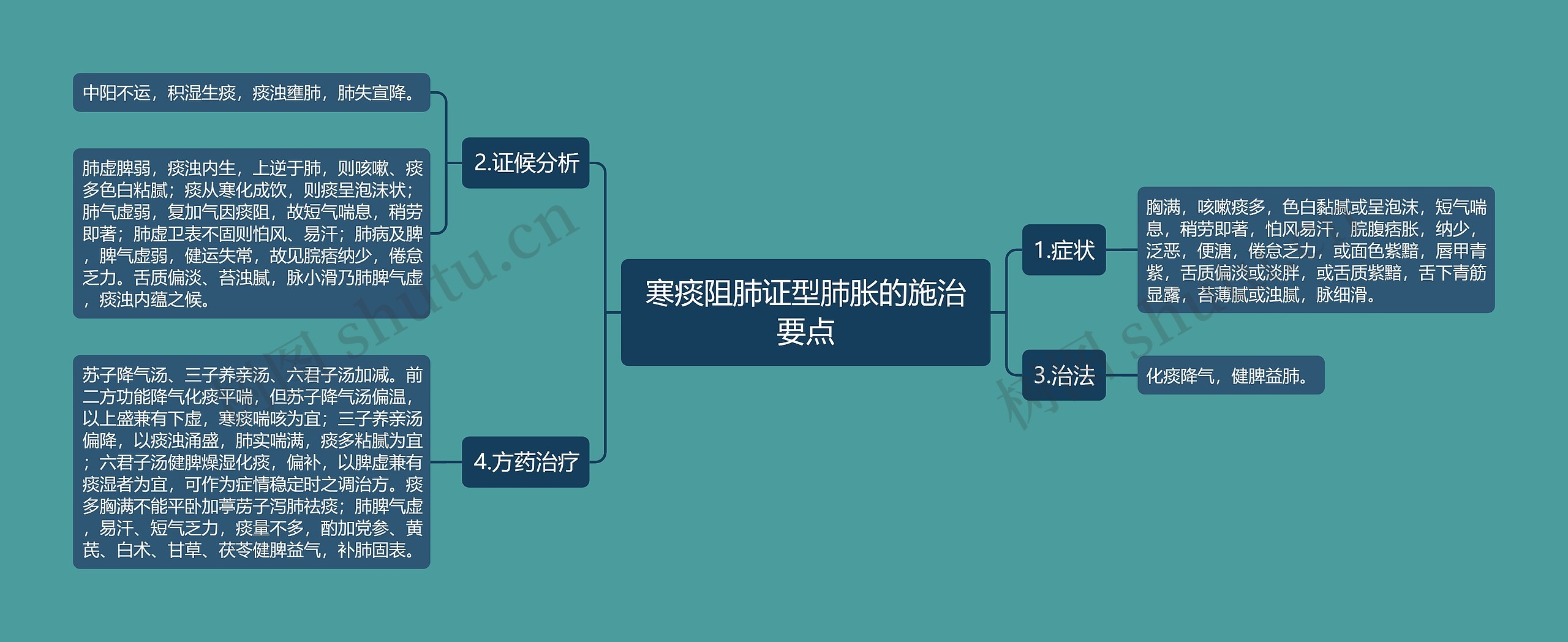 寒痰阻肺证型肺胀的施治要点思维导图