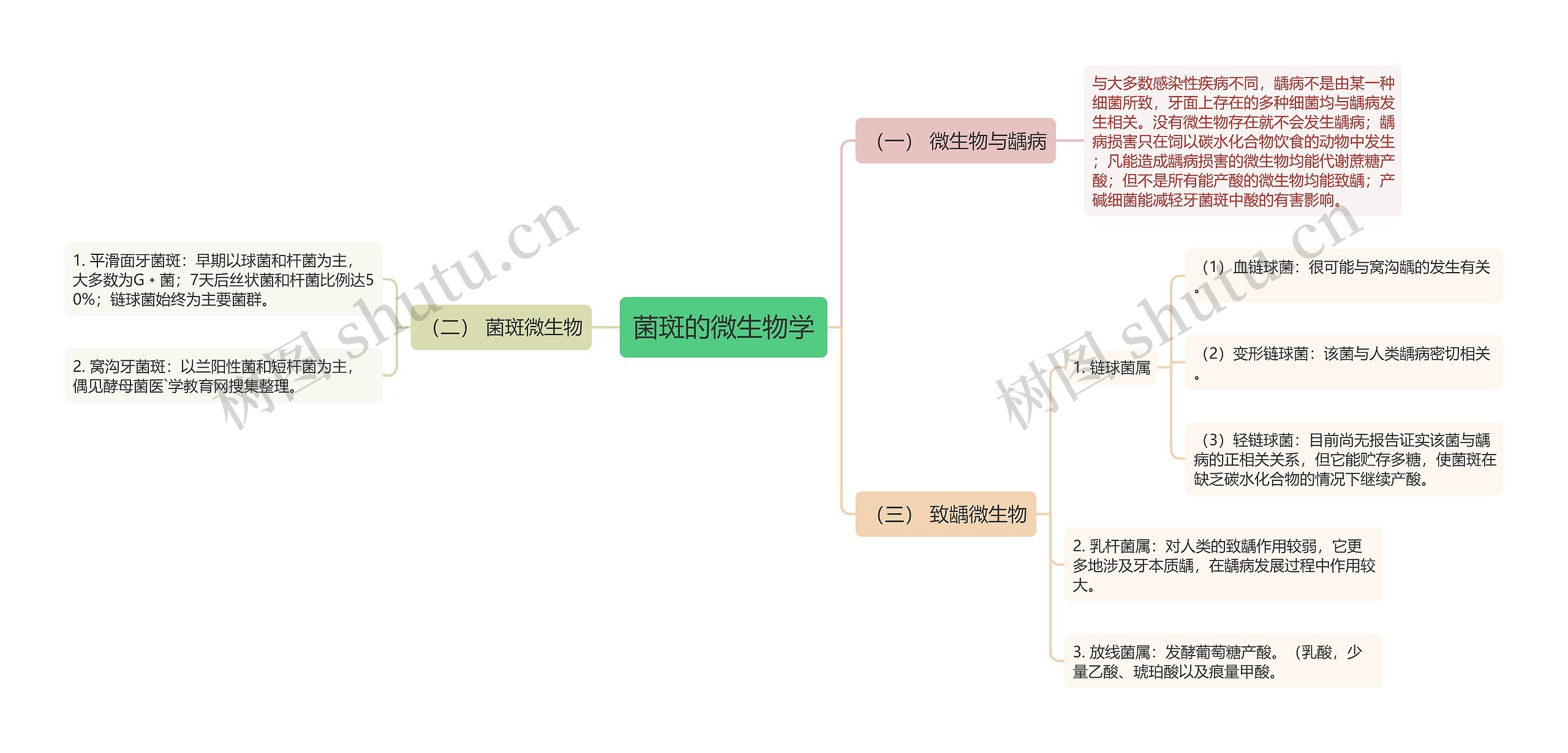 菌斑的微生物学思维导图