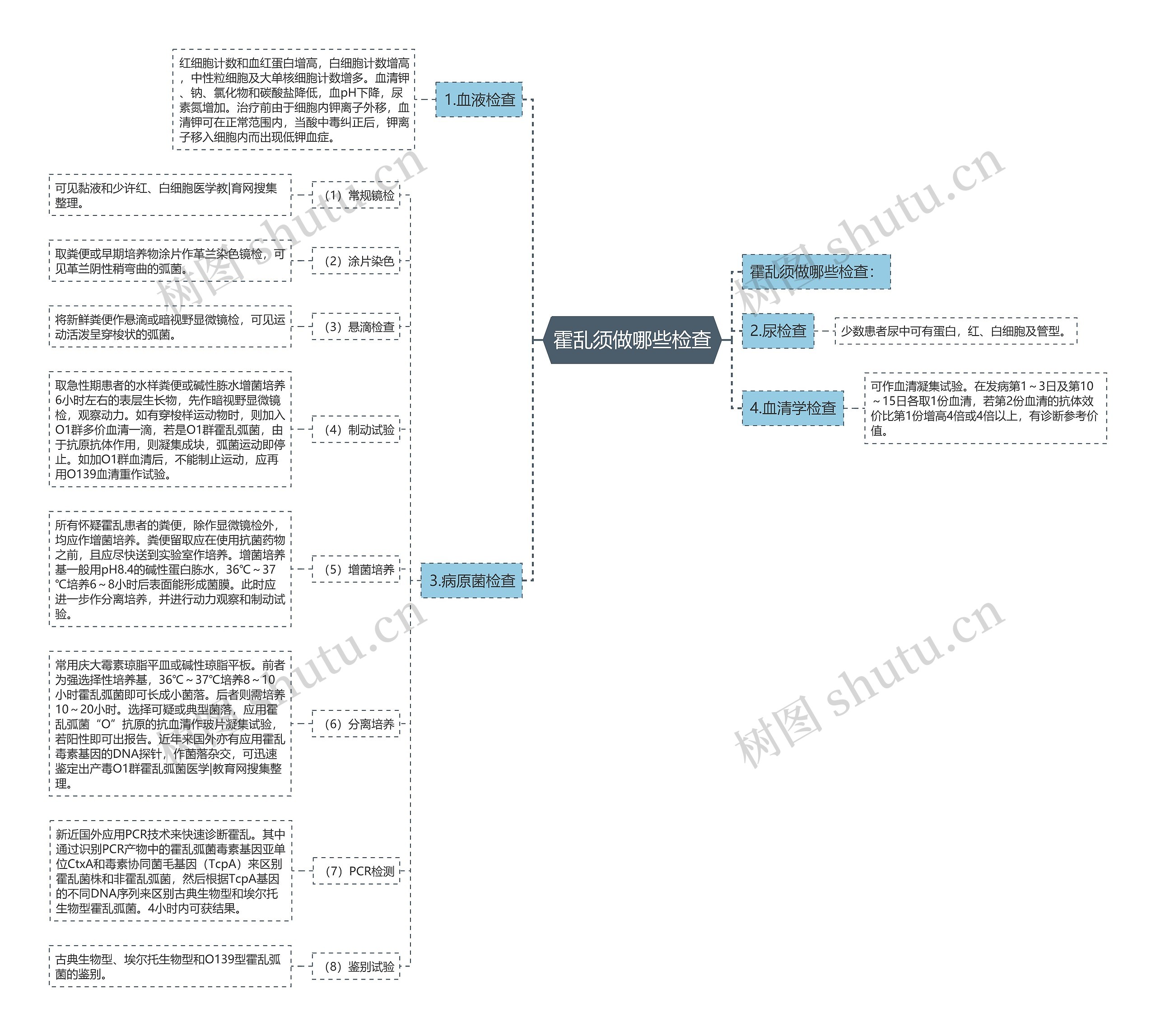 霍乱须做哪些检查思维导图