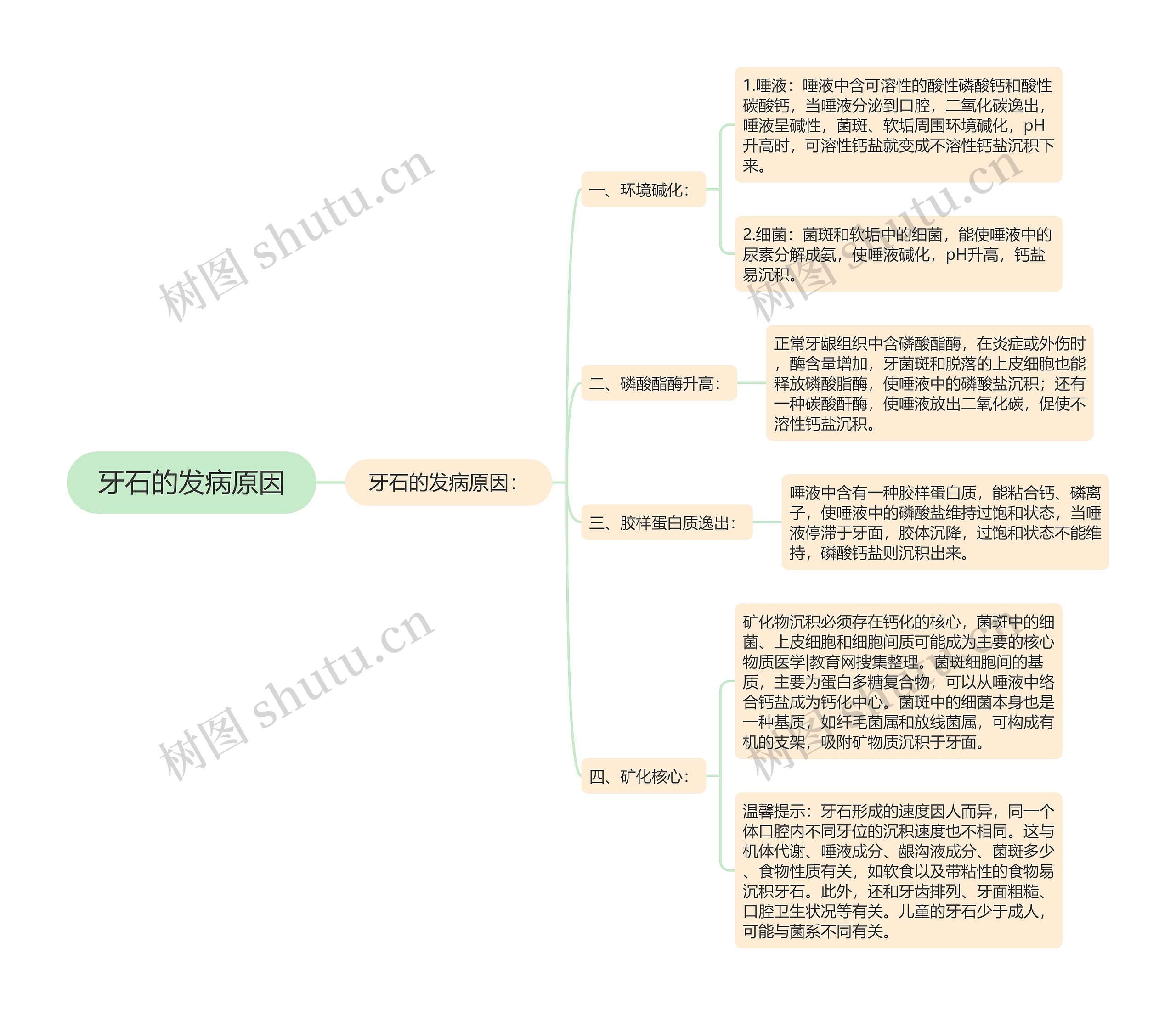 牙石的发病原因思维导图