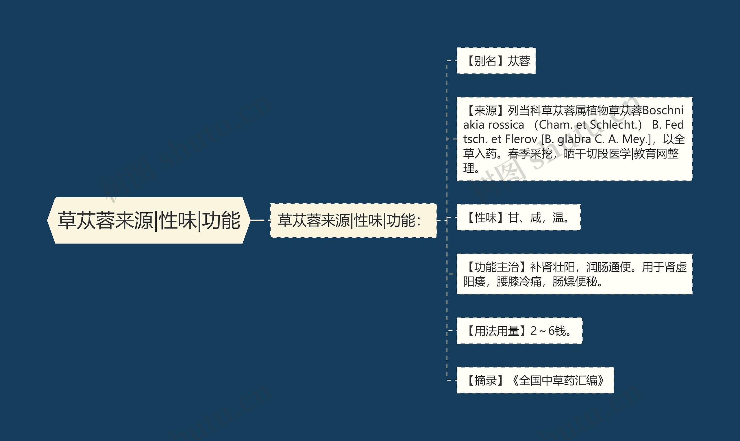 草苁蓉来源|性味|功能 草苁蓉来源|性味|功能