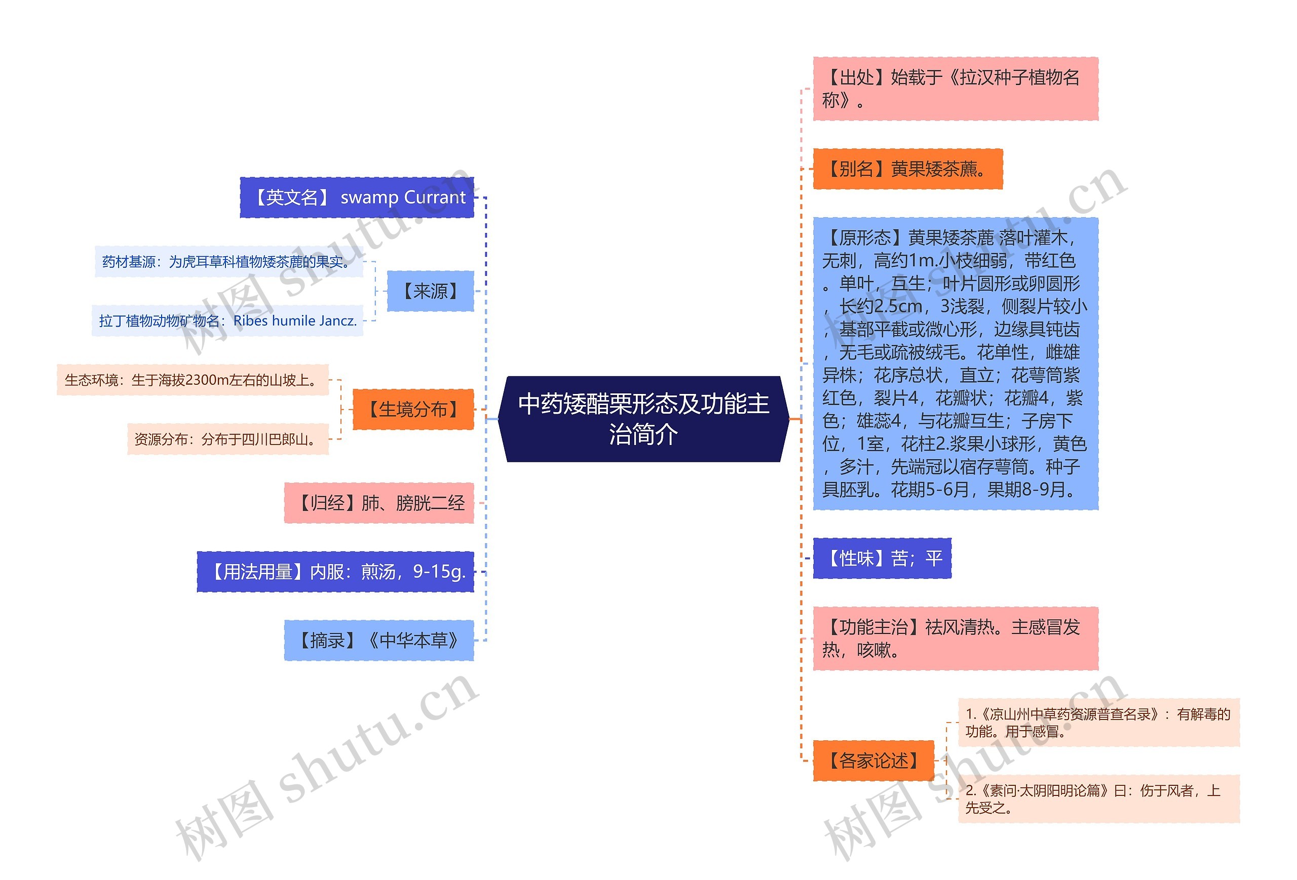 中药矮醋栗形态及功能主治简介思维导图