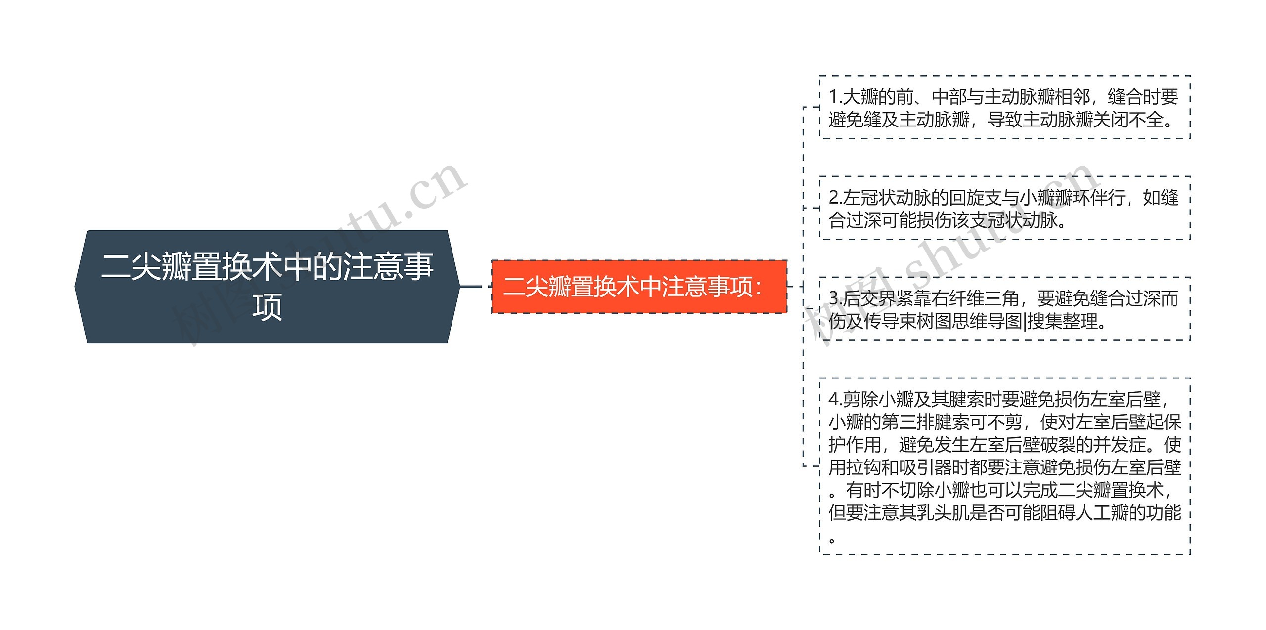 二尖瓣置换术中的注意事项思维导图