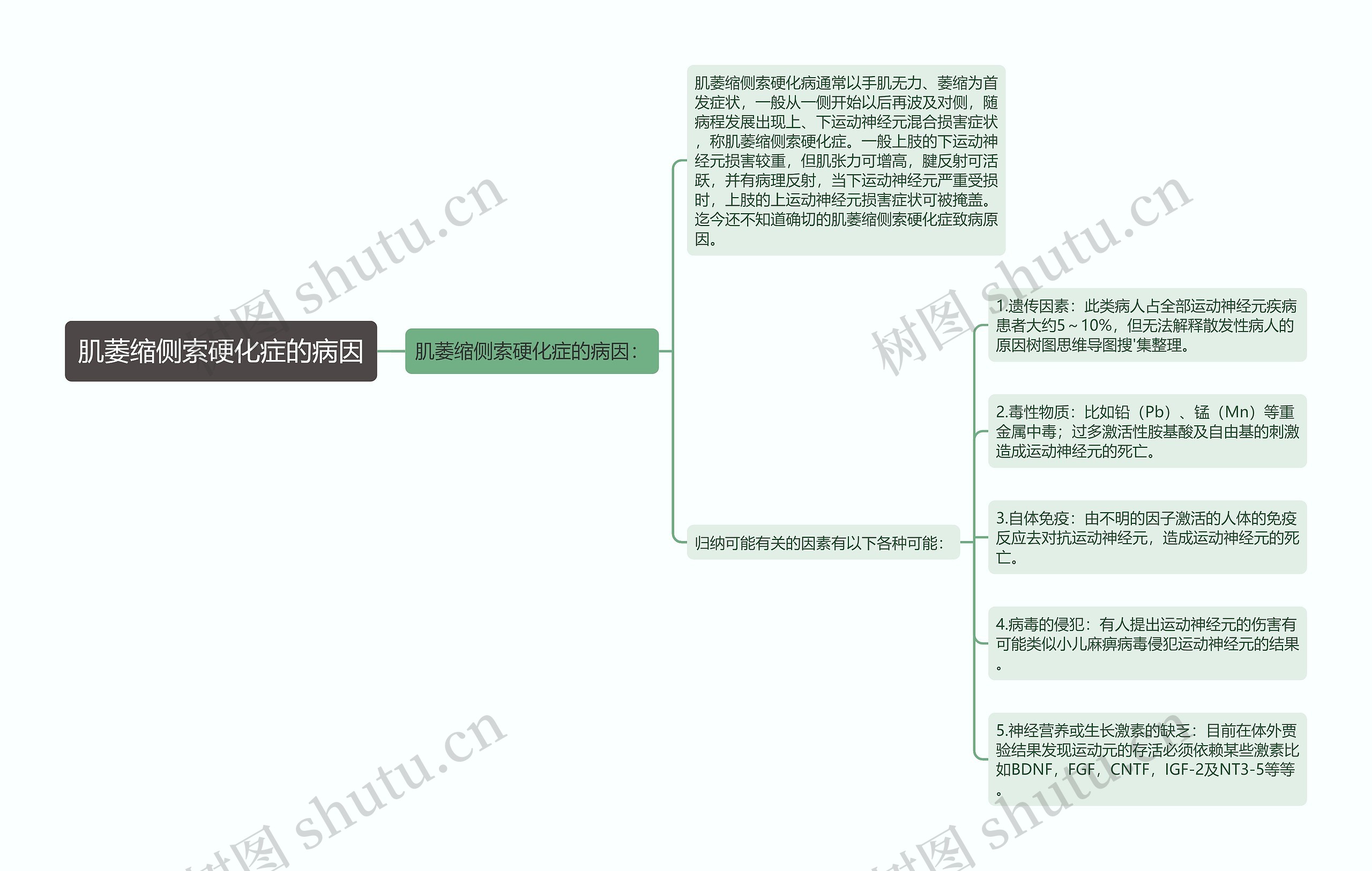 肌萎缩侧索硬化症的病因思维导图