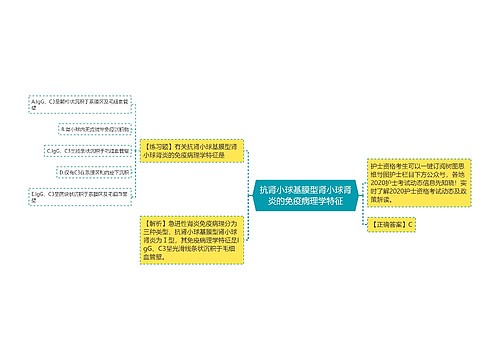 抗肾小球基膜型肾小球肾炎的免疫病理学特征