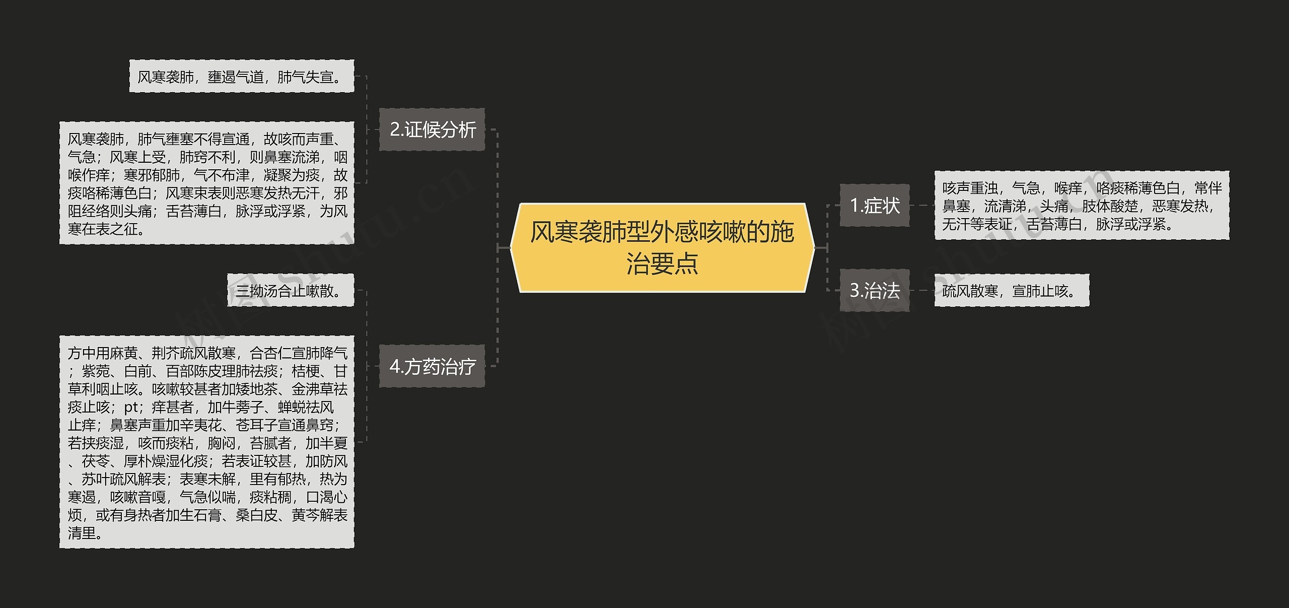 风寒袭肺型外感咳嗽的施治要点思维导图