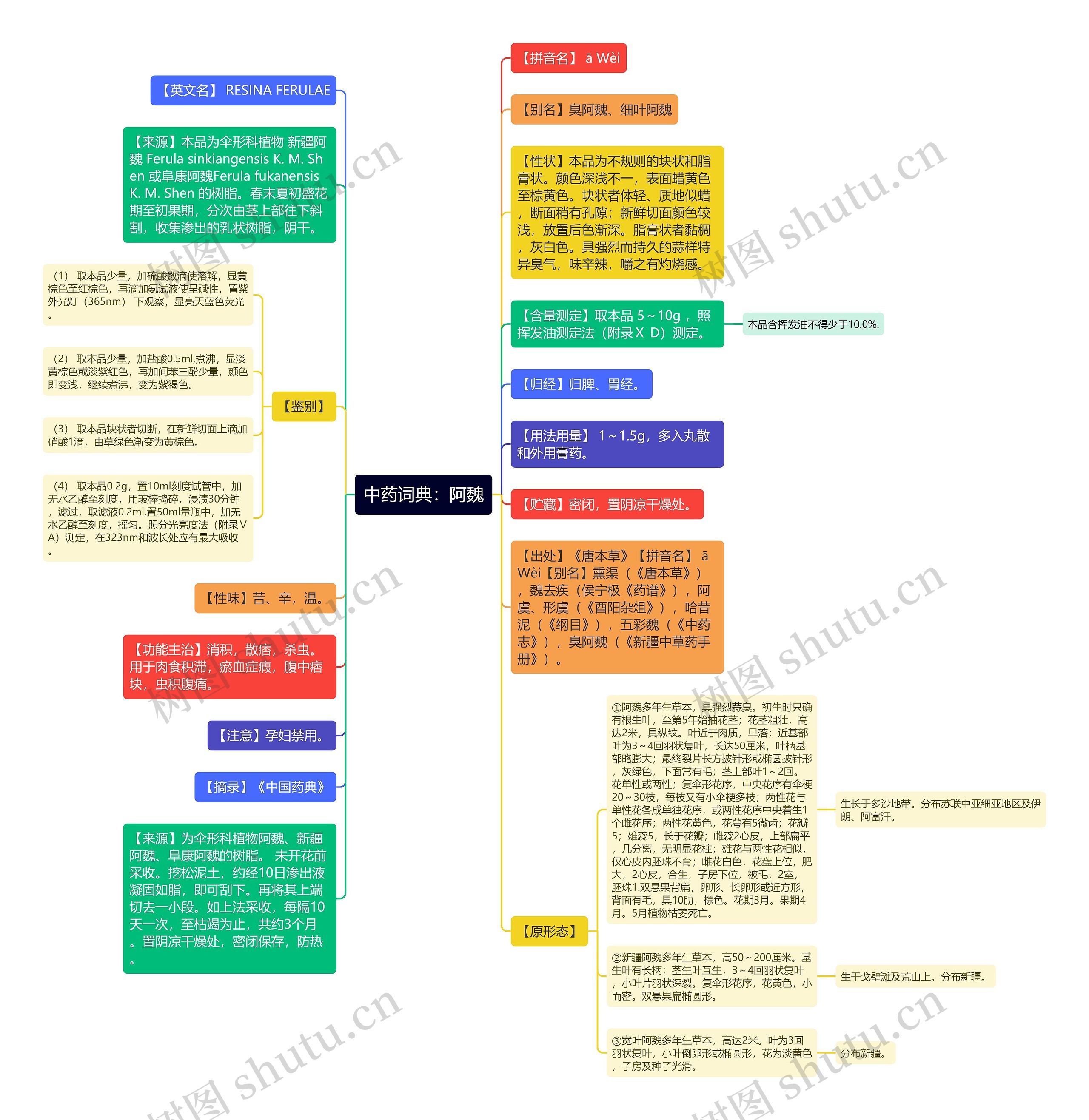中药词典：阿魏思维导图