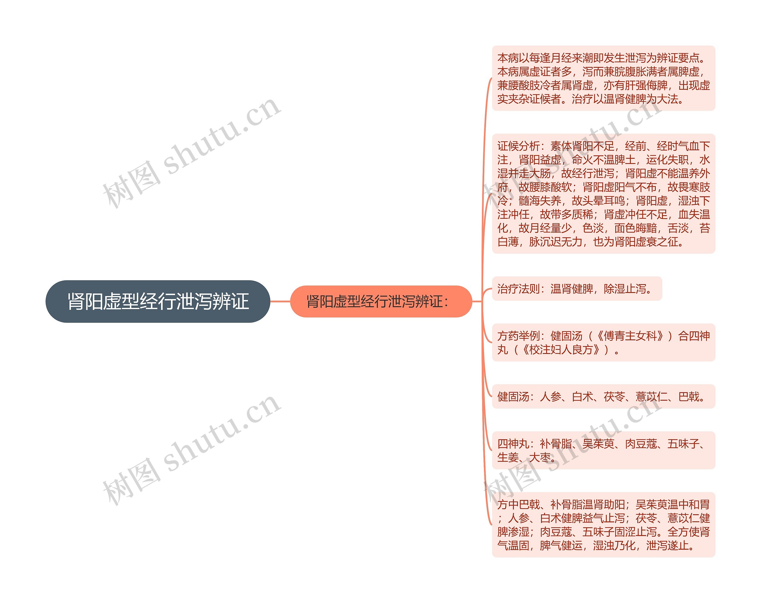 肾阳虚型经行泄泻辨证思维导图