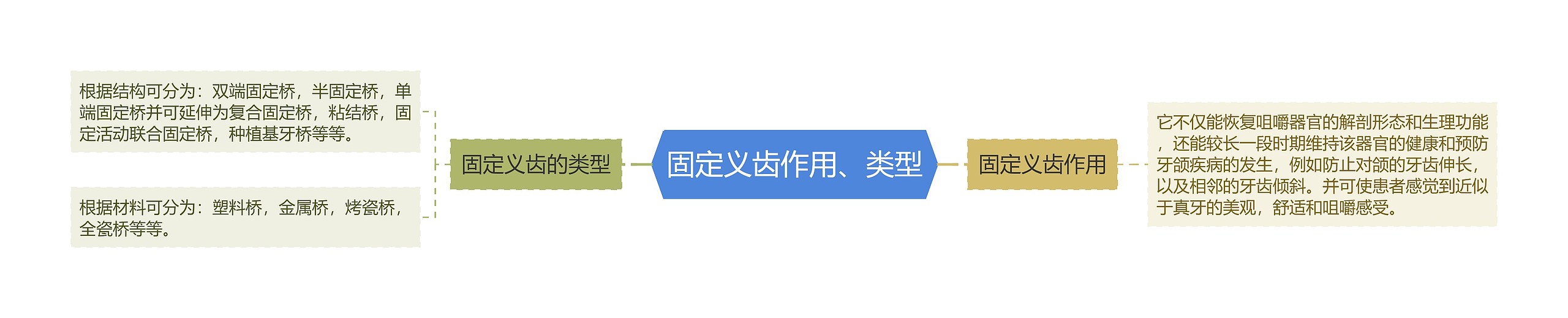 固定义齿作用、类型 固定义齿作用、类型