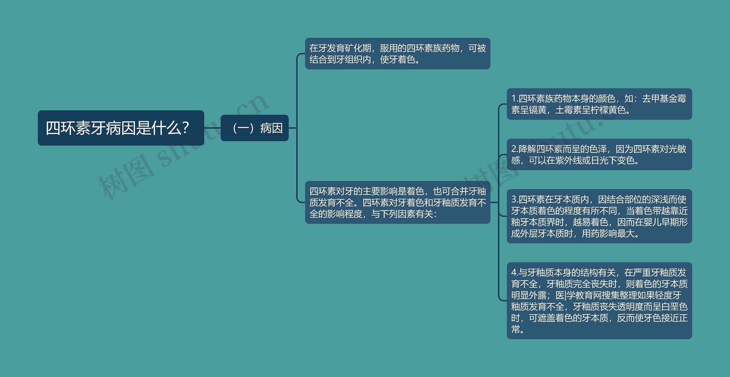 四环素牙病因是什么？思维导图