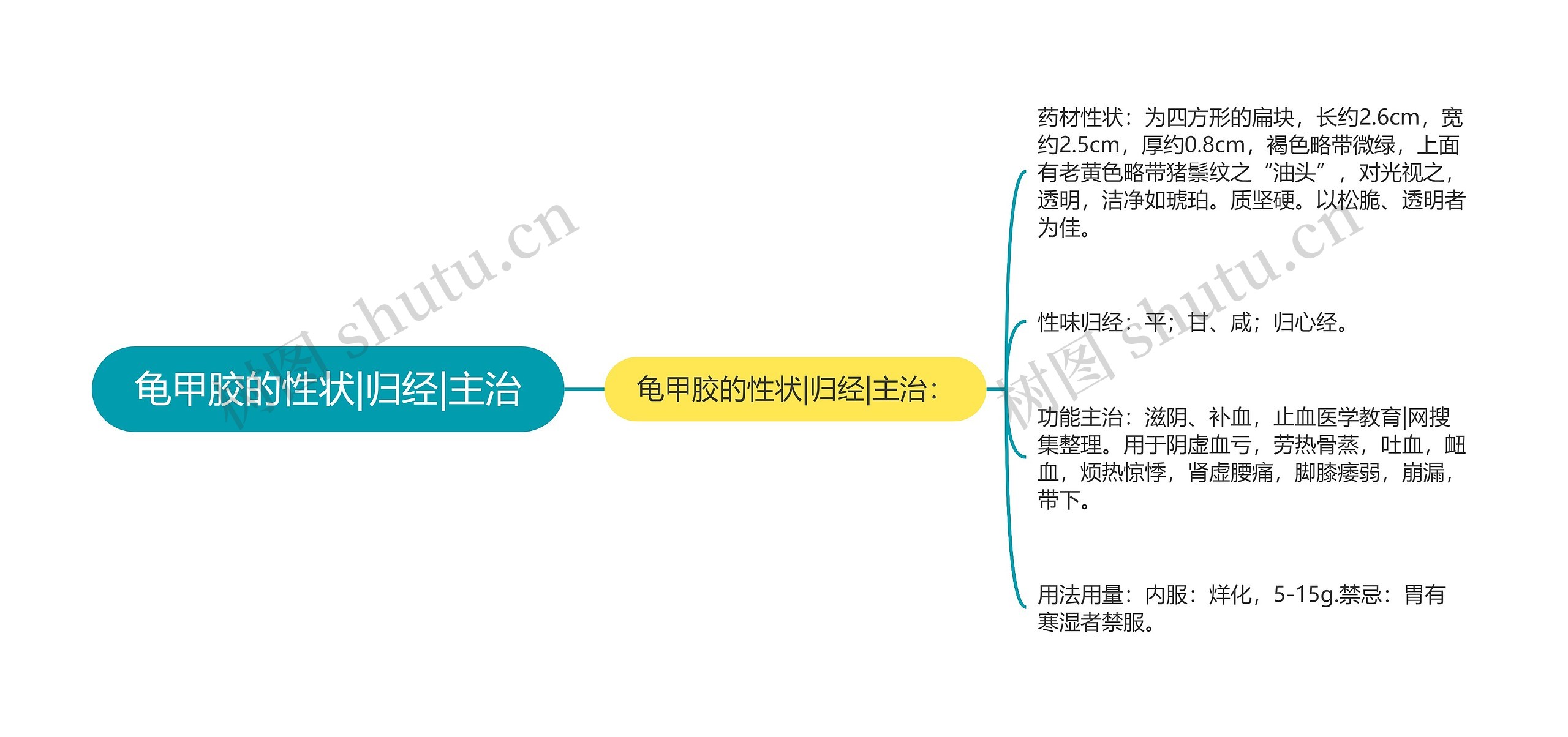 龟甲胶的性状|归经|主治思维导图