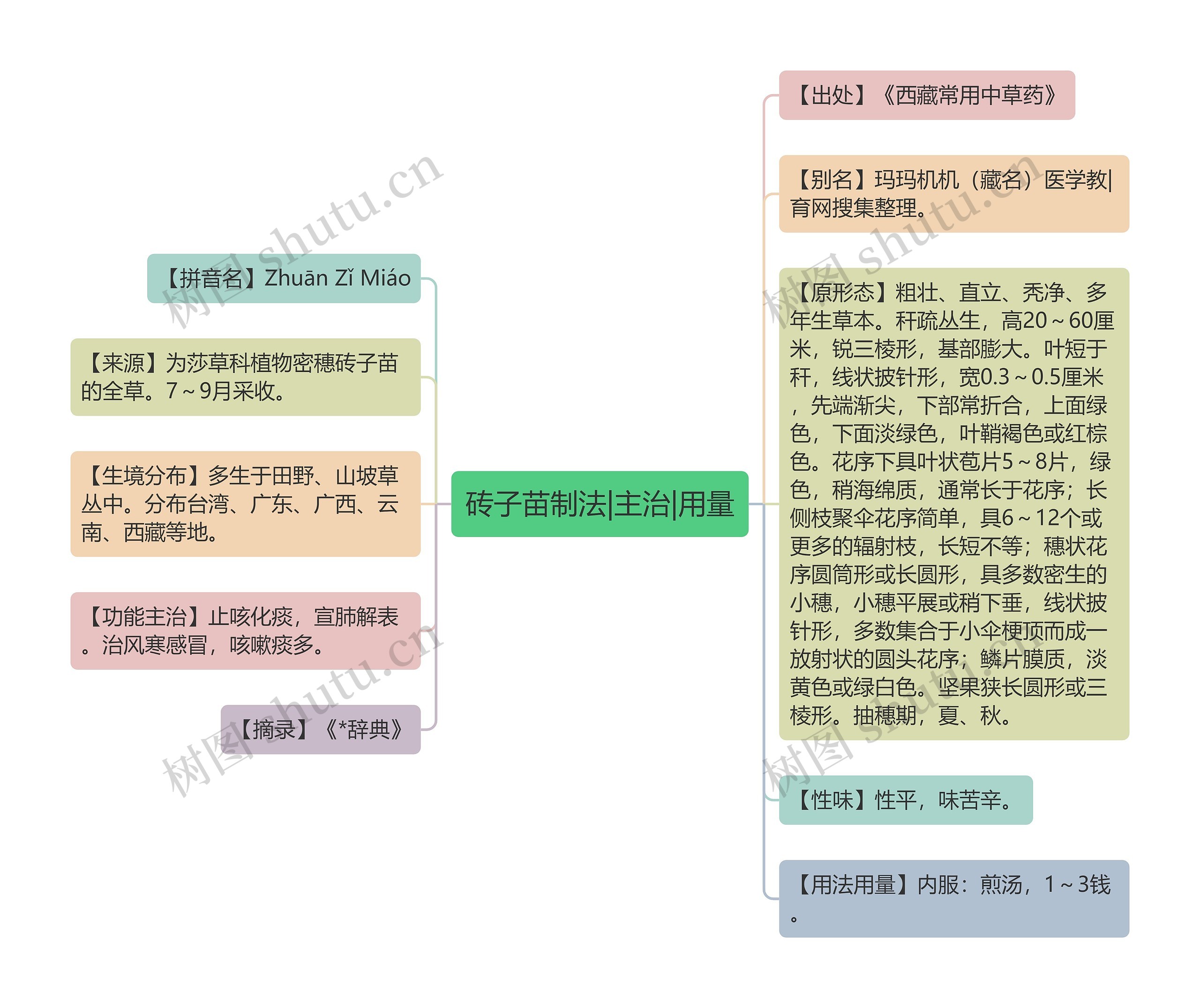 砖子苗制法|主治|用量