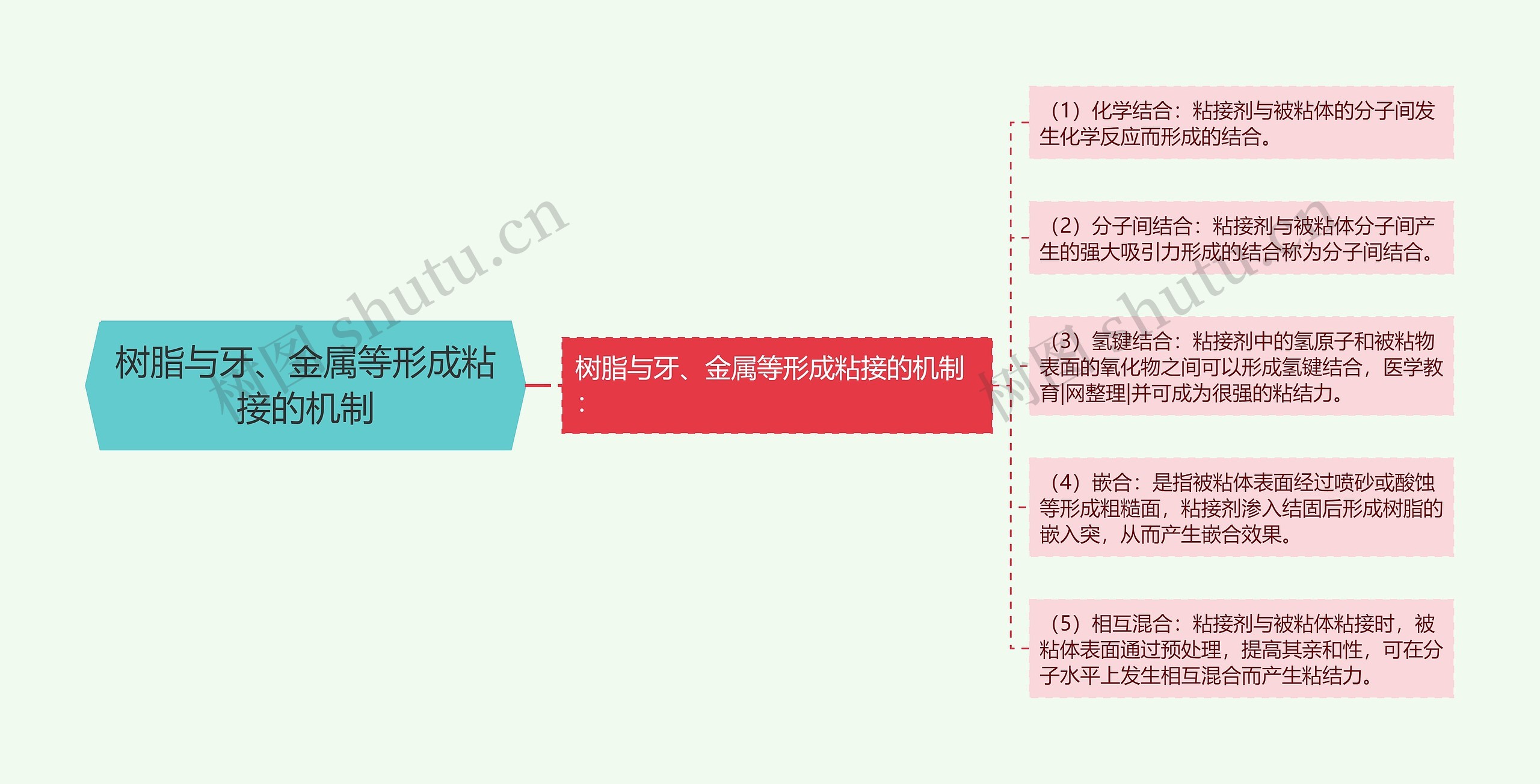 树脂与牙、金属等形成粘接的机制思维导图