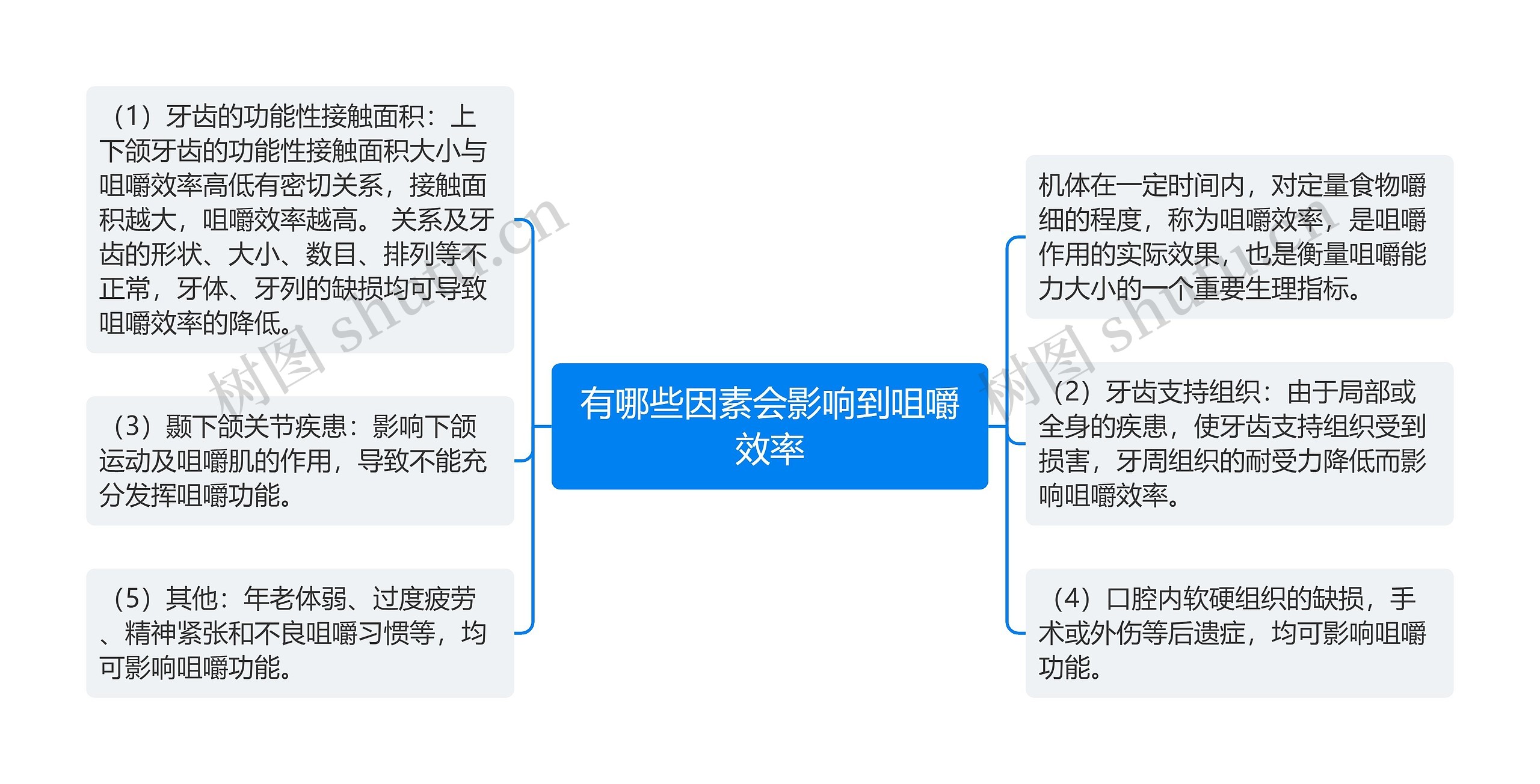 有哪些因素会影响到咀嚼效率