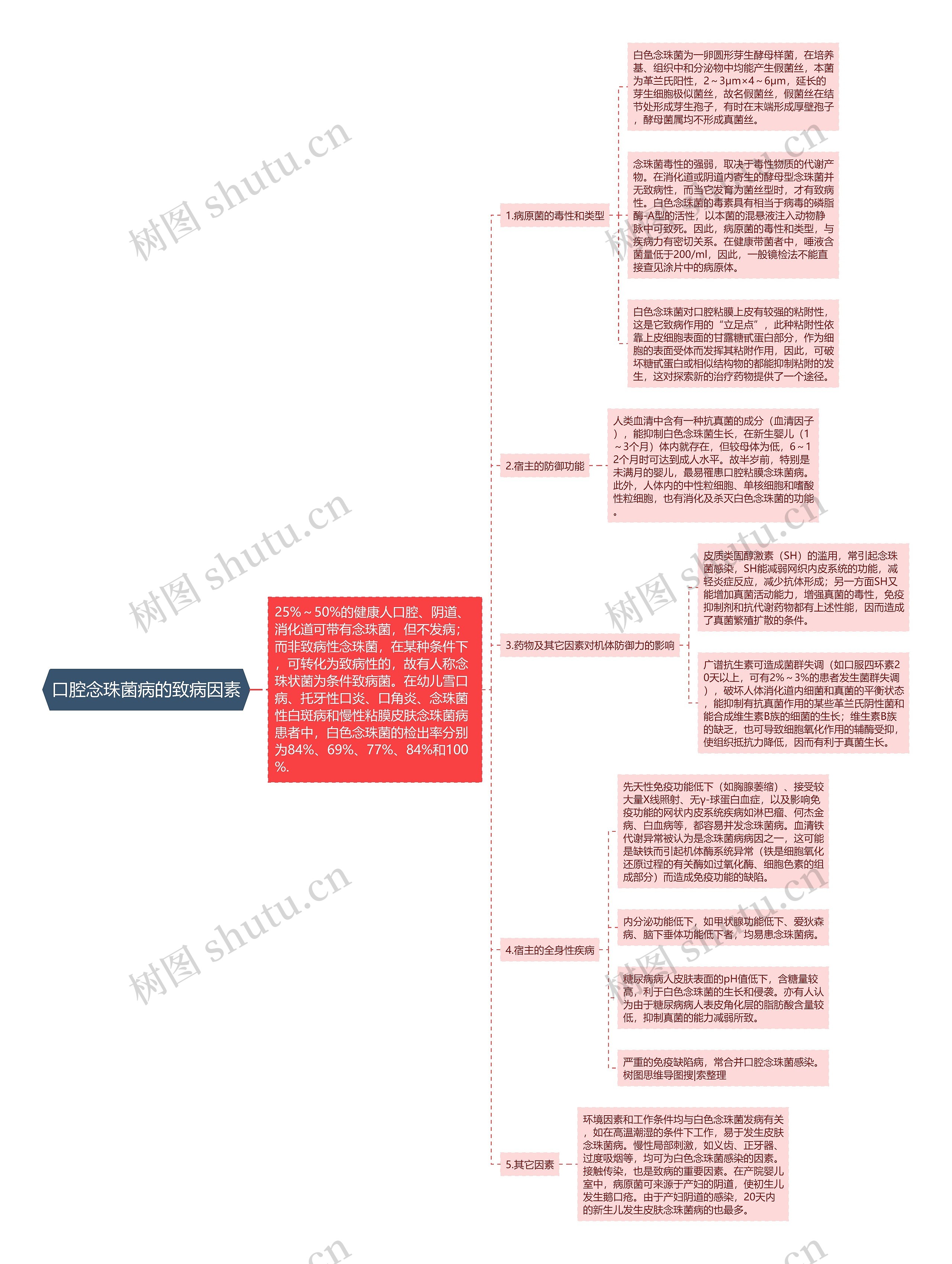 口腔念珠菌病的致病因素思维导图