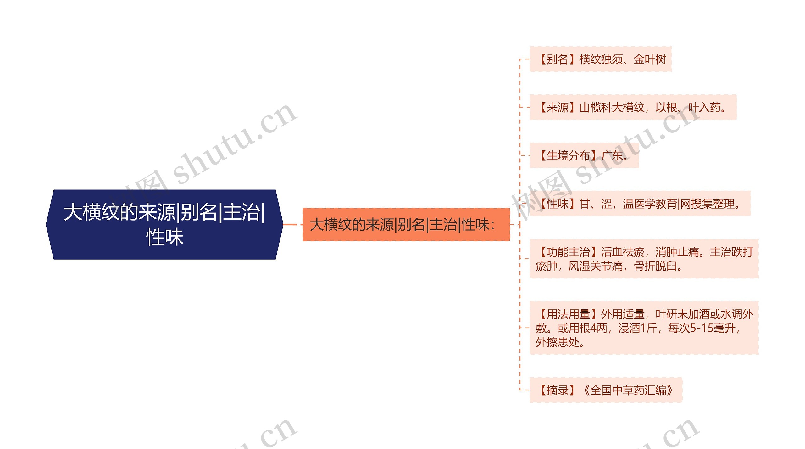 大横纹的来源|别名|主治|性味思维导图