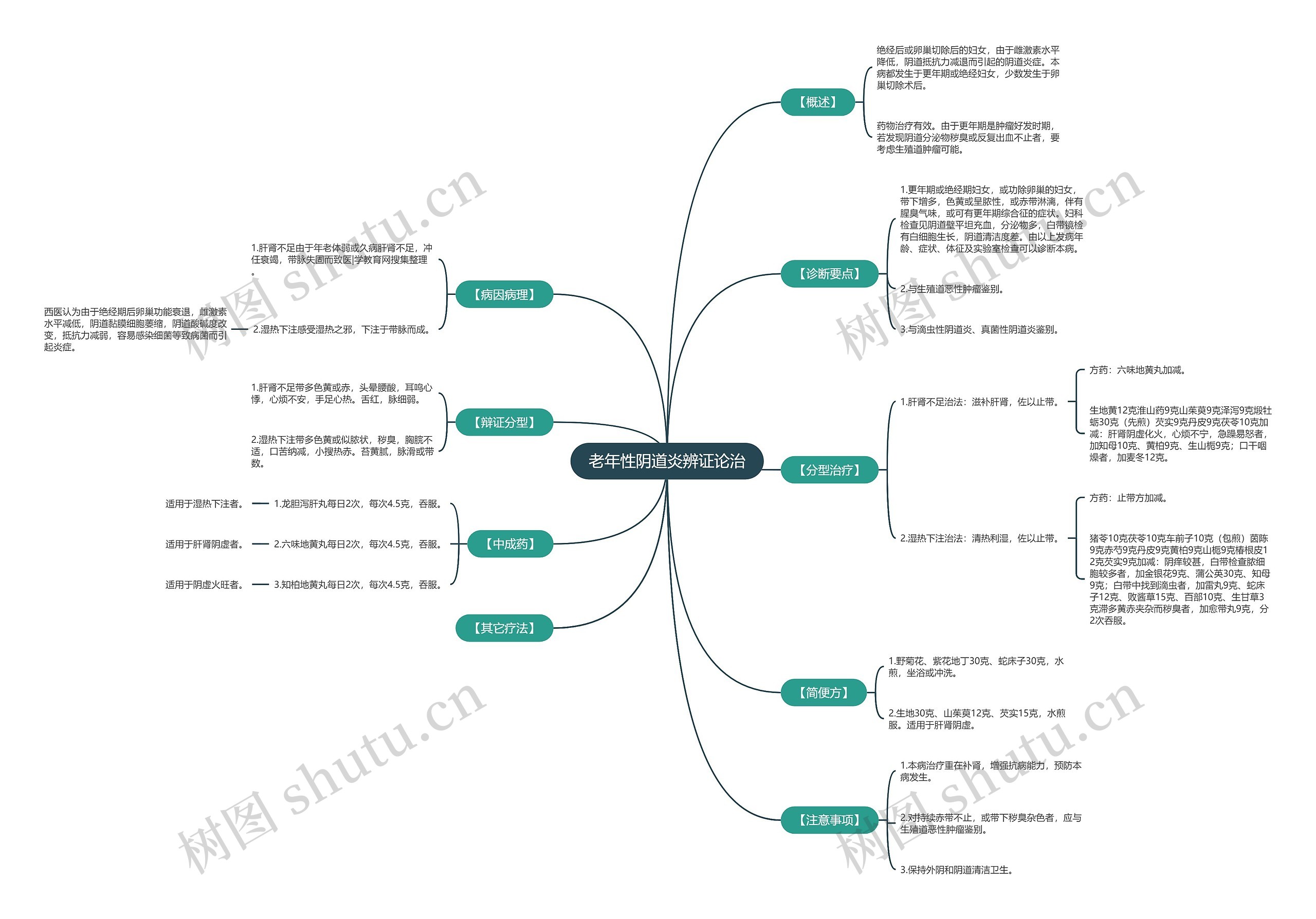 老年性阴道炎辨证论治思维导图